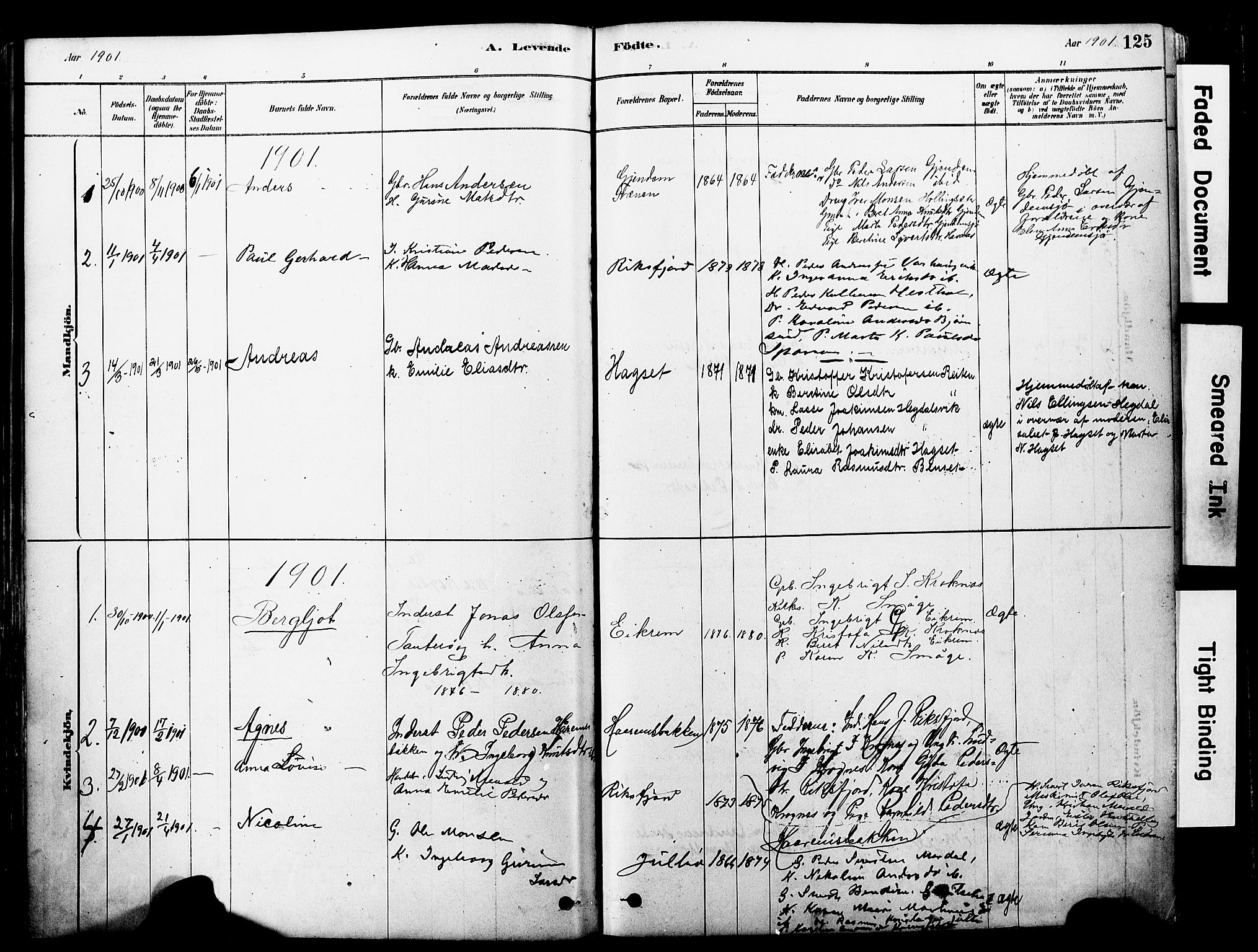 Ministerialprotokoller, klokkerbøker og fødselsregistre - Møre og Romsdal, SAT/A-1454/560/L0721: Parish register (official) no. 560A05, 1878-1917, p. 125