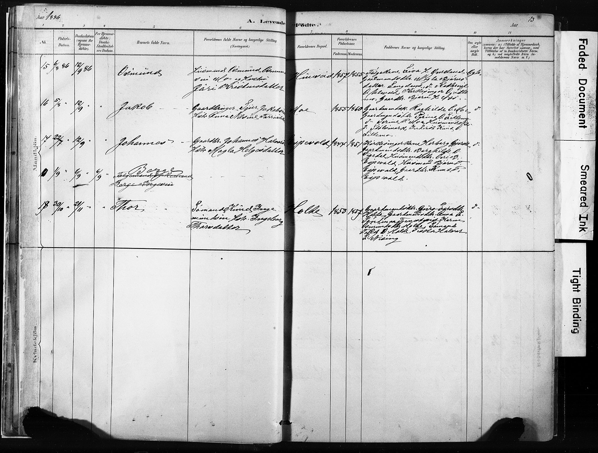 Vikedal sokneprestkontor, AV/SAST-A-101840/01/IV: Parish register (official) no. A 10, 1884-1907, p. 13