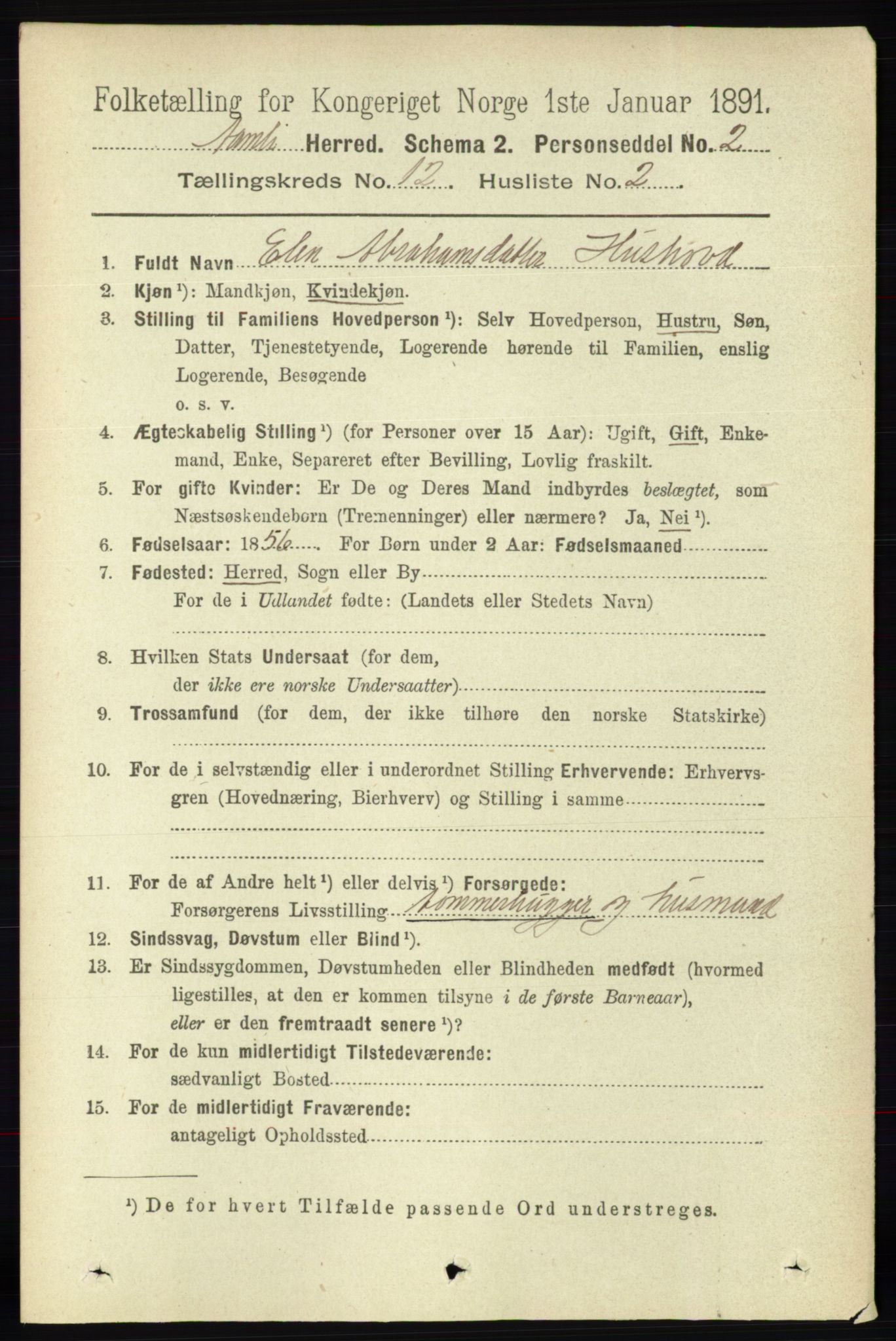 RA, 1891 census for 0929 Åmli, 1891, p. 2043