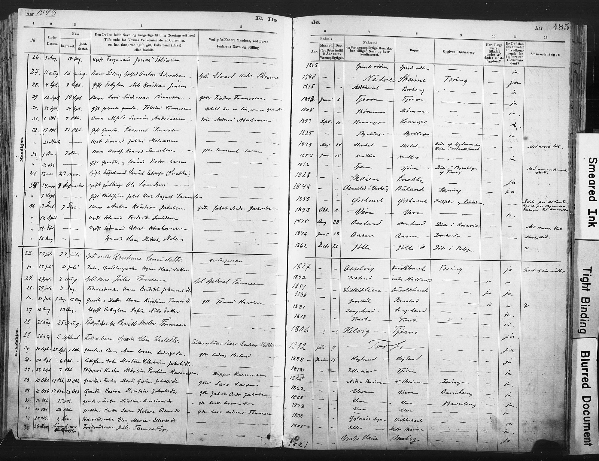 Lista sokneprestkontor, SAK/1111-0027/F/Fa/L0012: Parish register (official) no. A 12, 1879-1903, p. 485