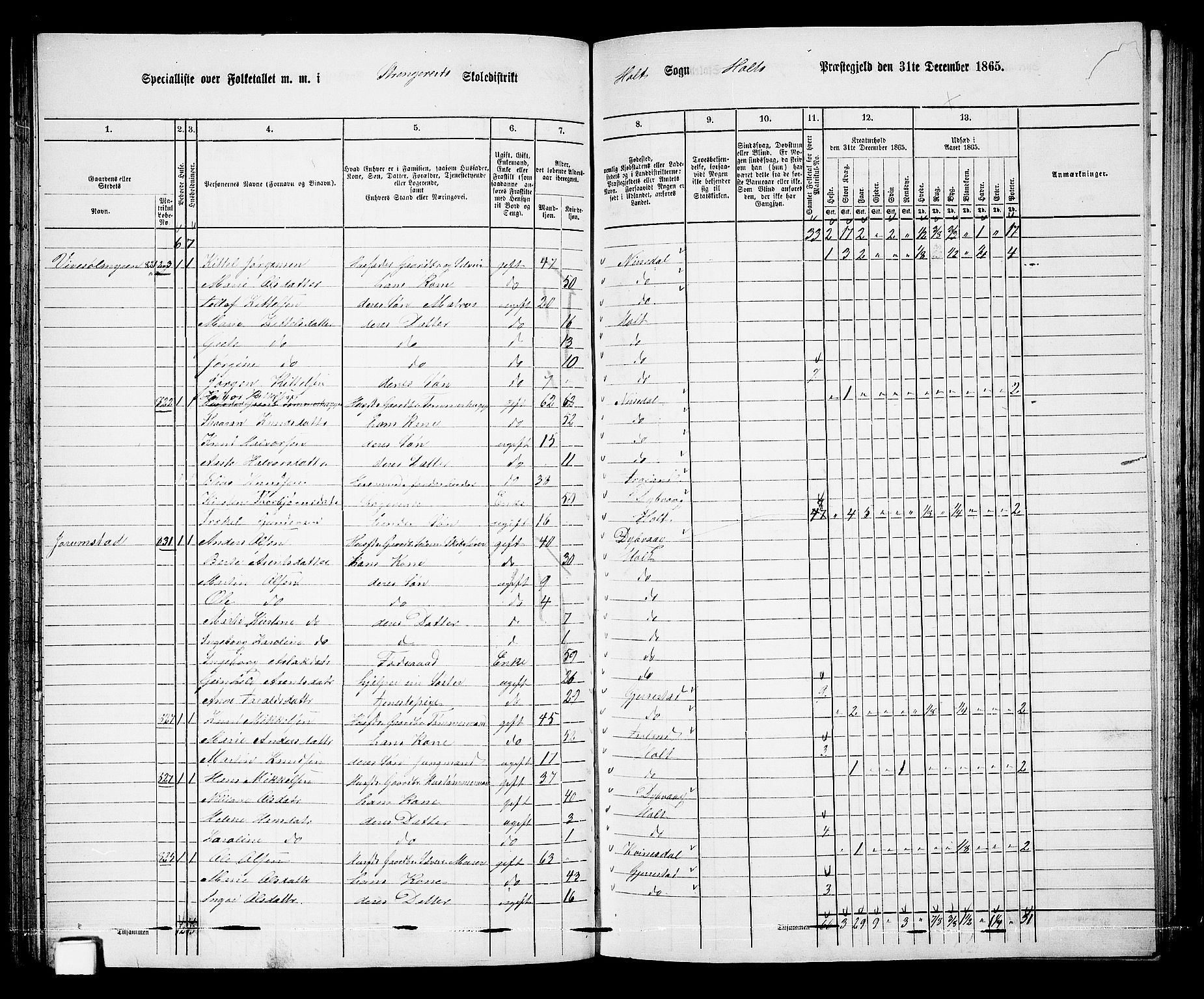 RA, 1865 census for Holt/Holt, 1865, p. 72