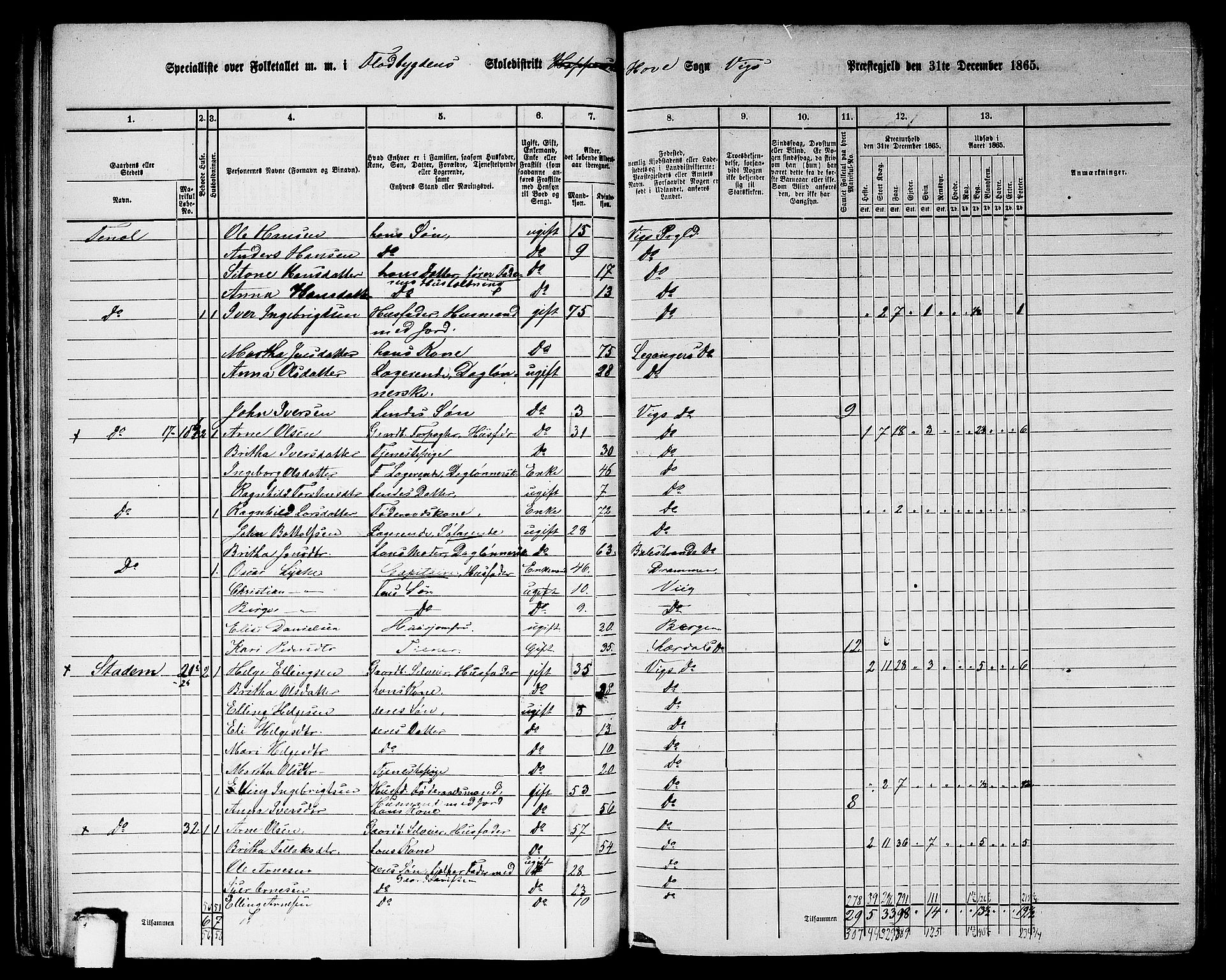 RA, 1865 census for Vik, 1865, p. 42