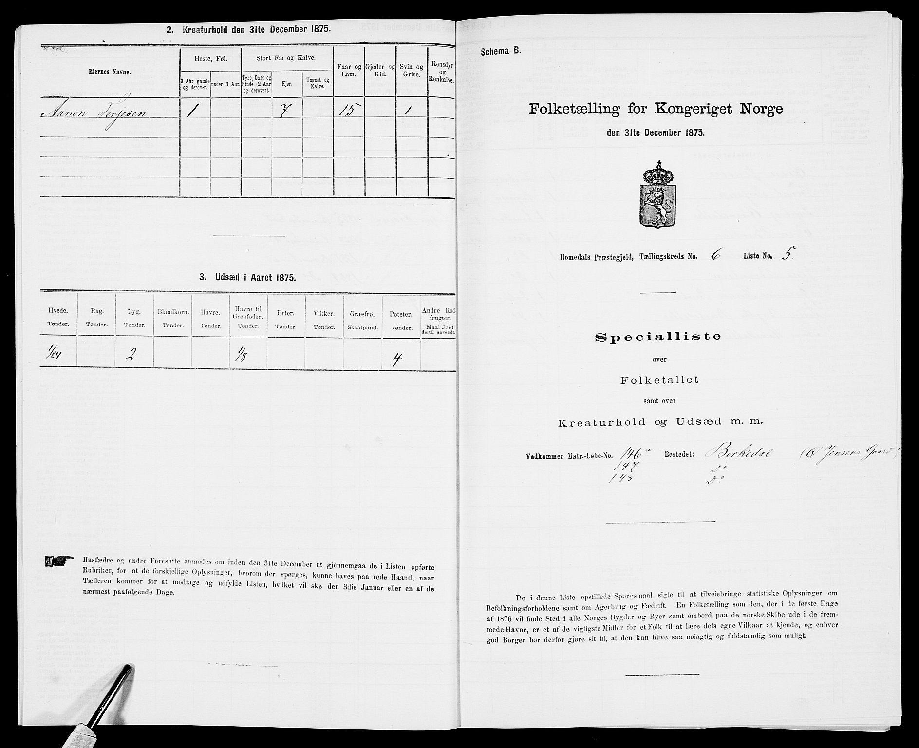 SAK, 1875 census for 0924P Homedal, 1875, p. 1046