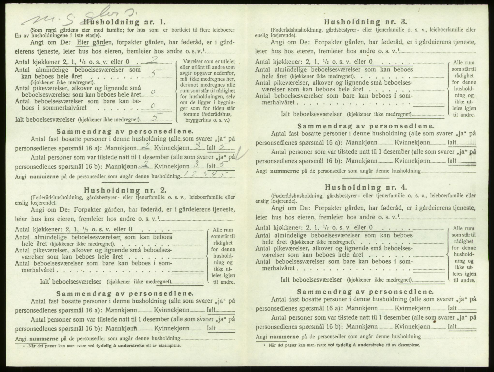 SAO, 1920 census for Skjeberg, 1920, p. 528