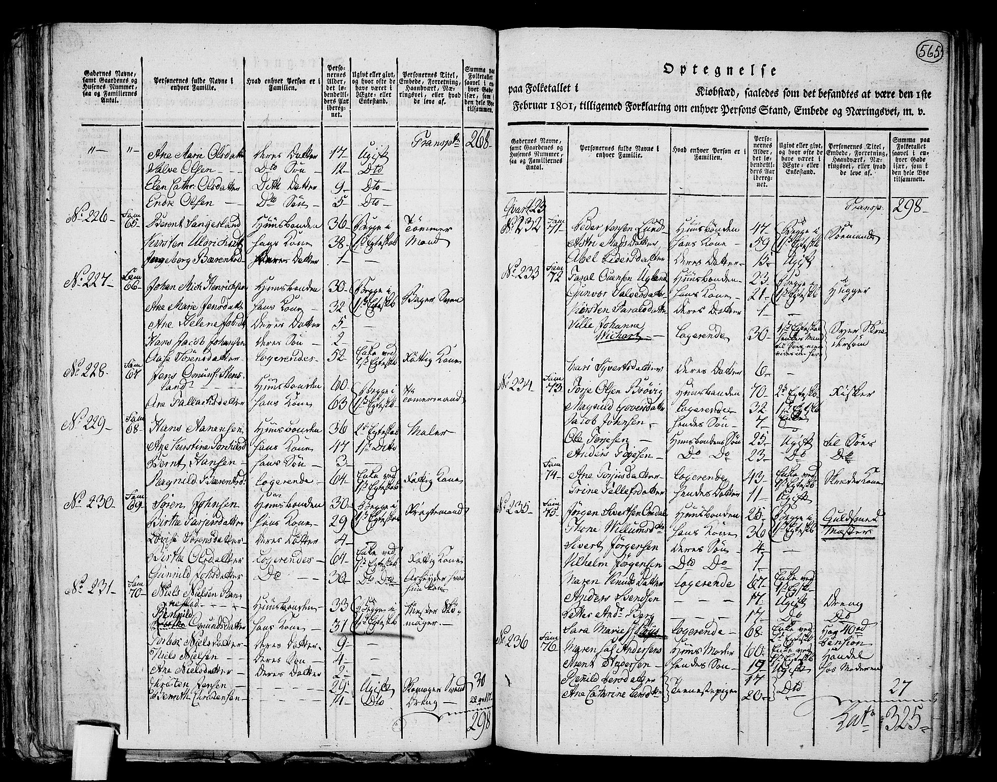 RA, 1801 census for 1001P Kristiansand, 1801, p. 564b-565a