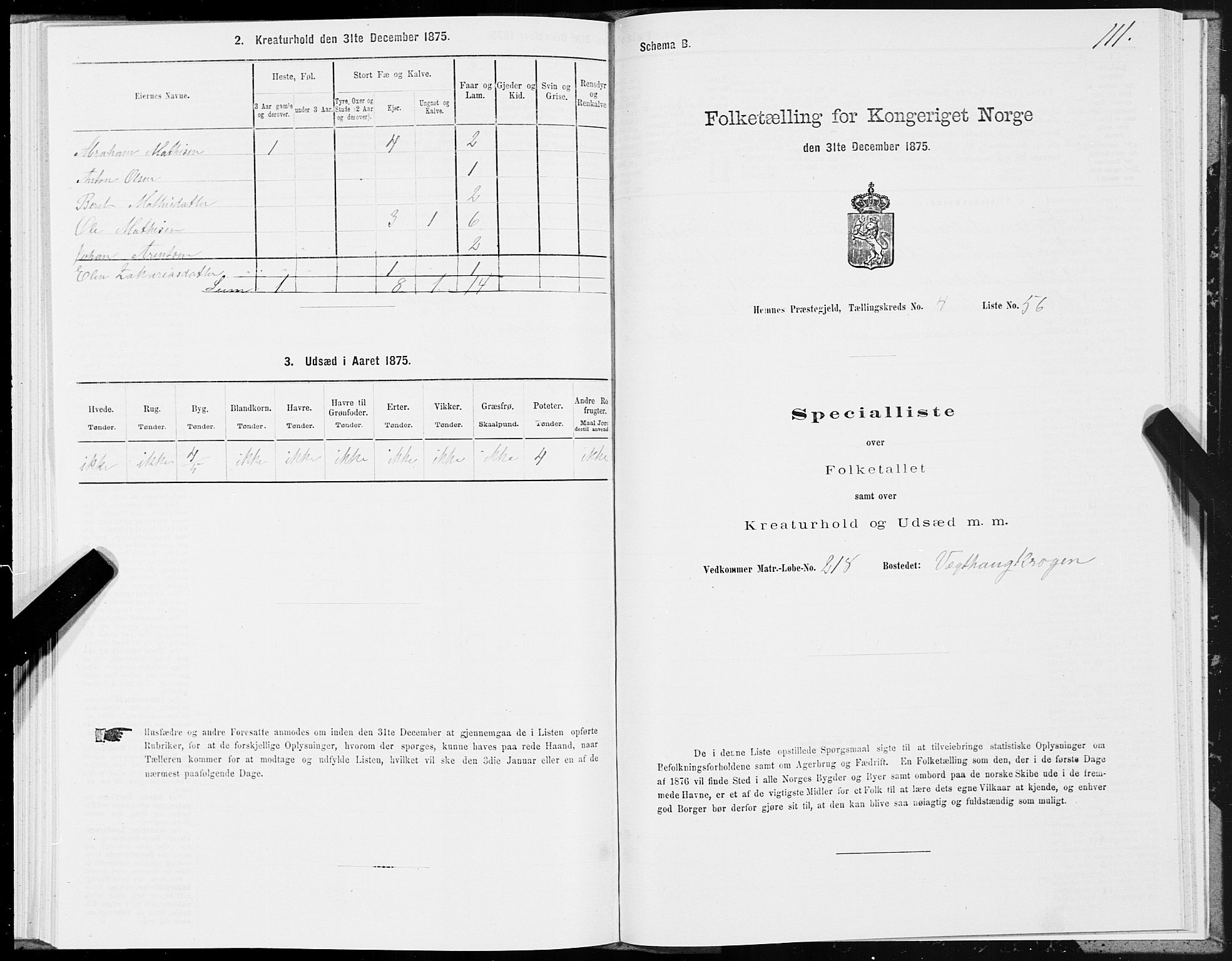 SAT, 1875 census for 1832P Hemnes, 1875, p. 3111