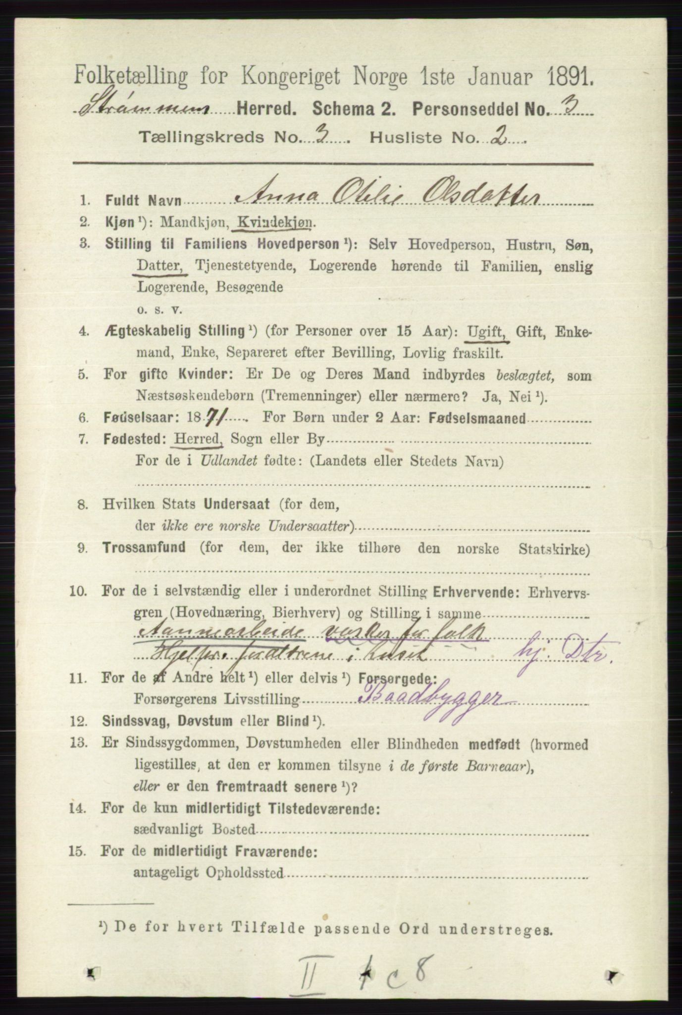 RA, 1891 census for 0711 Strømm, 1891, p. 1080