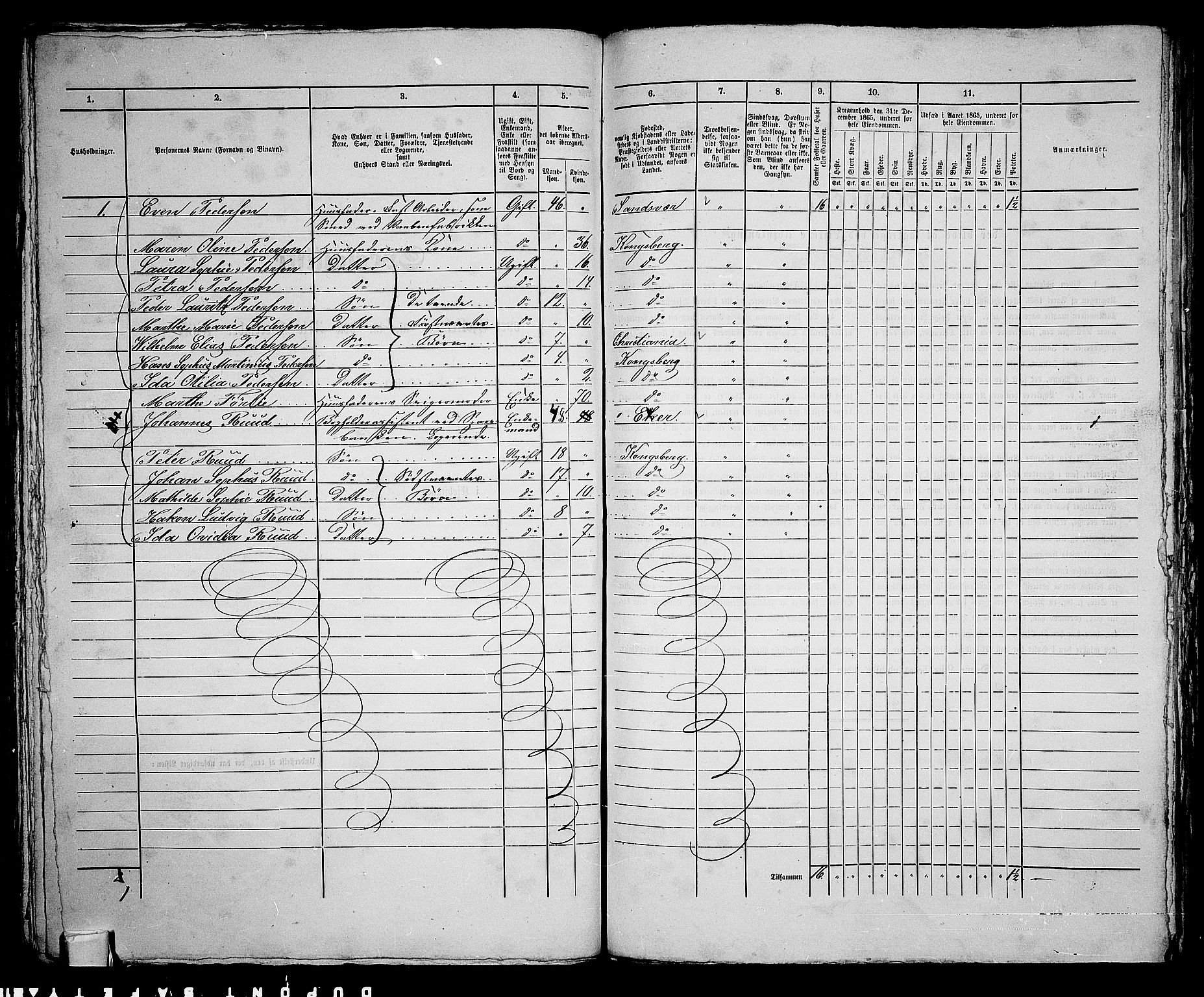 RA, 1865 census for Kongsberg/Kongsberg, 1865, p. 215