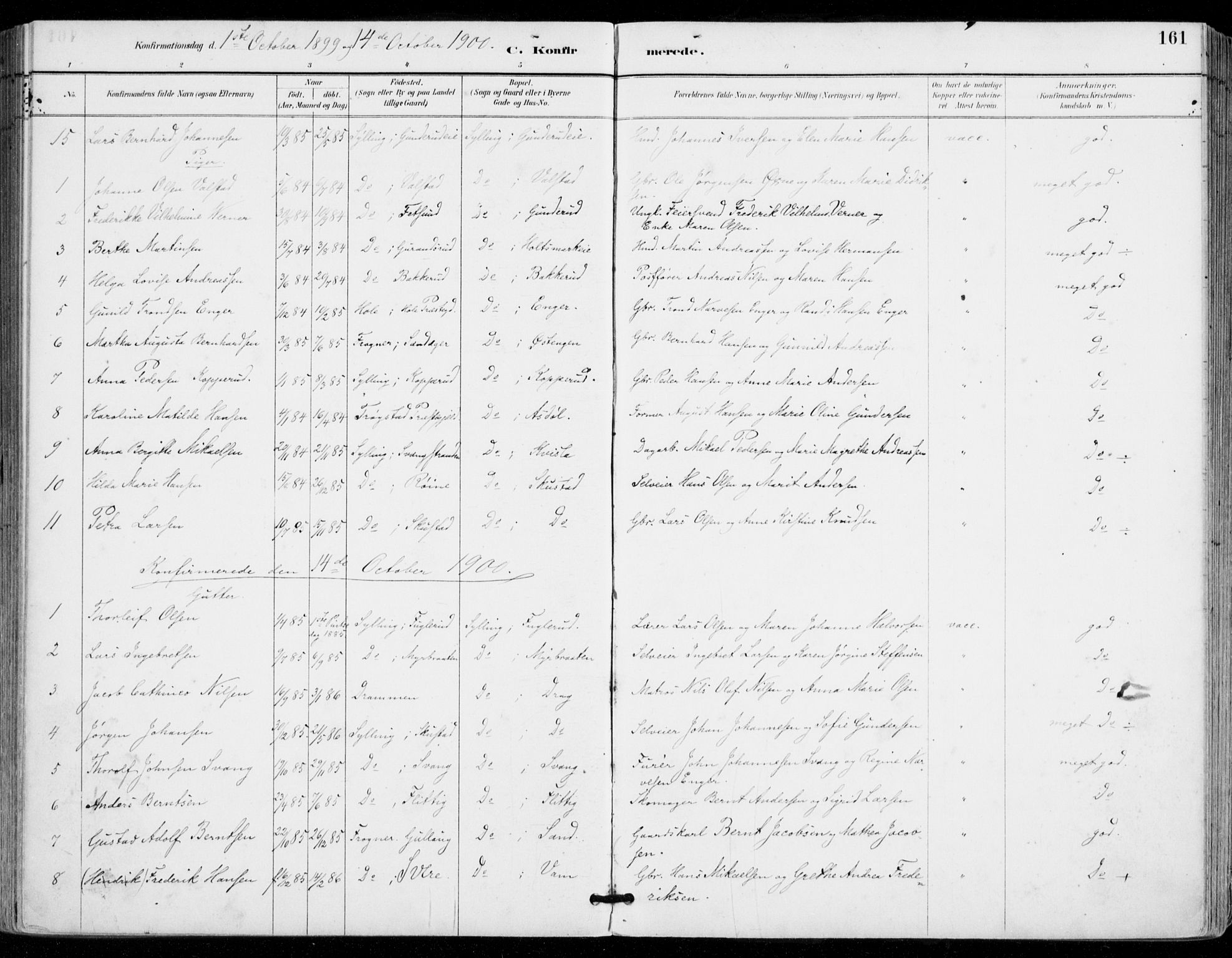 Sylling kirkebøker, AV/SAKO-A-247/F/Fa/L0001: Parish register (official) no. 1, 1883-1910, p. 161