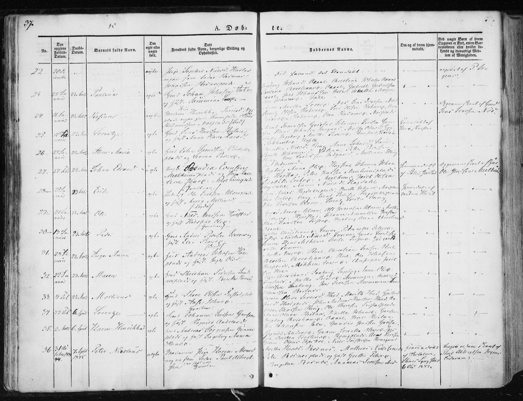 Ministerialprotokoller, klokkerbøker og fødselsregistre - Nord-Trøndelag, AV/SAT-A-1458/730/L0280: Parish register (official) no. 730A07 /1, 1840-1854, p. 37