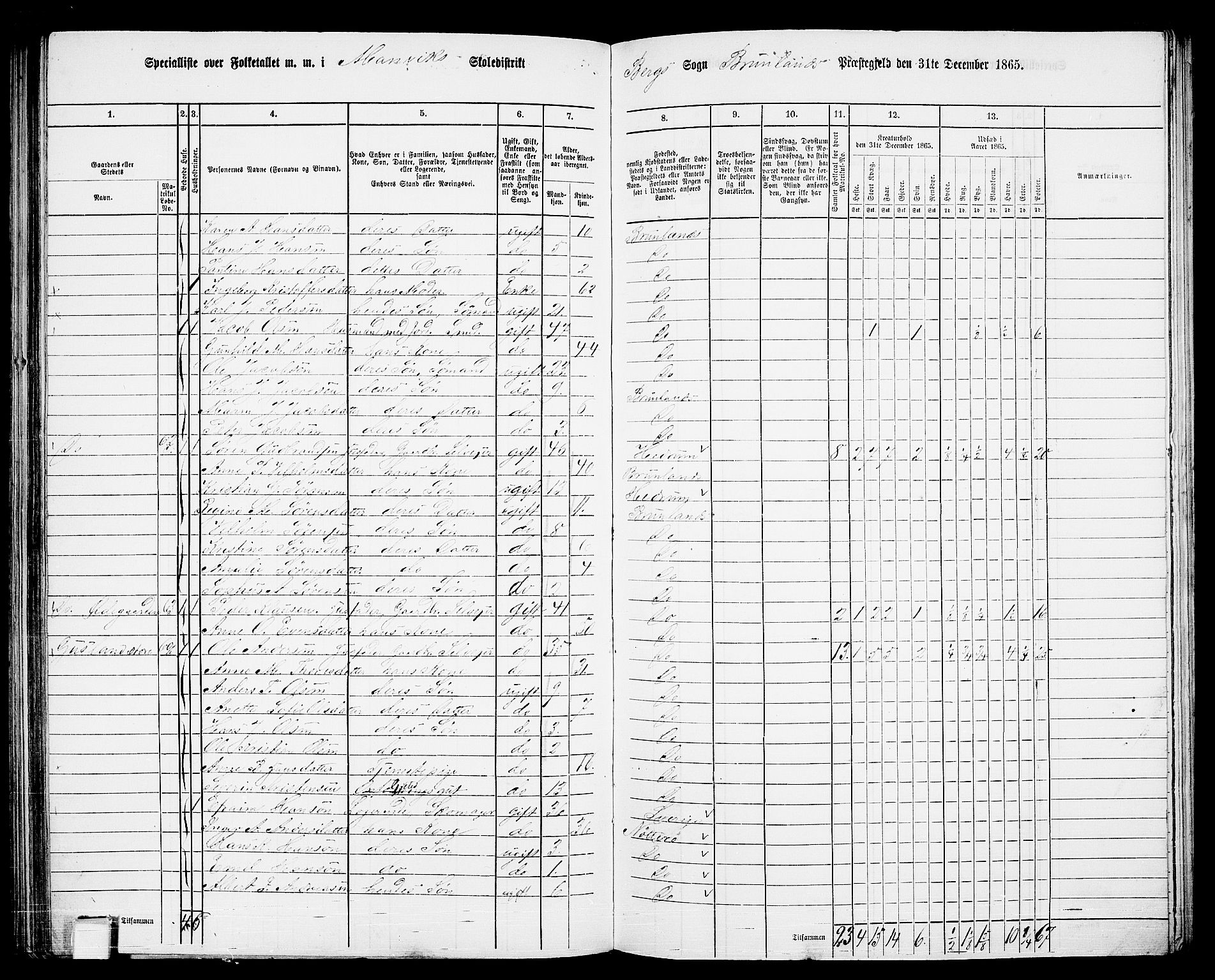 RA, 1865 census for Brunlanes, 1865, p. 134