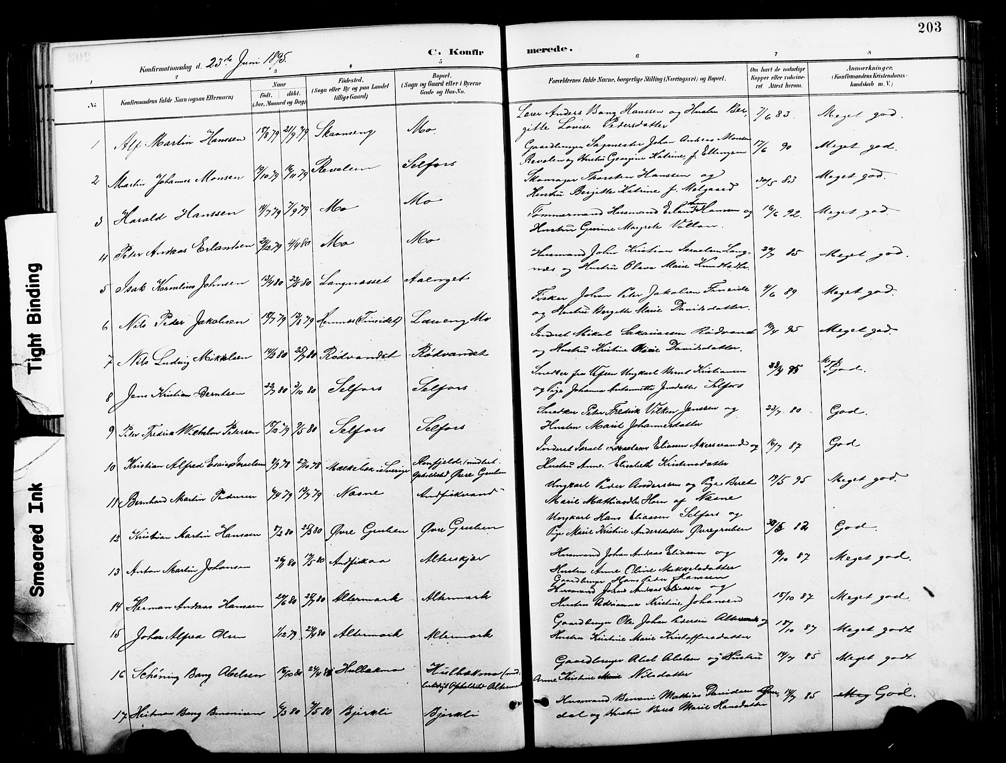 Ministerialprotokoller, klokkerbøker og fødselsregistre - Nordland, SAT/A-1459/827/L0421: Parish register (copy) no. 827C10, 1887-1906, p. 203