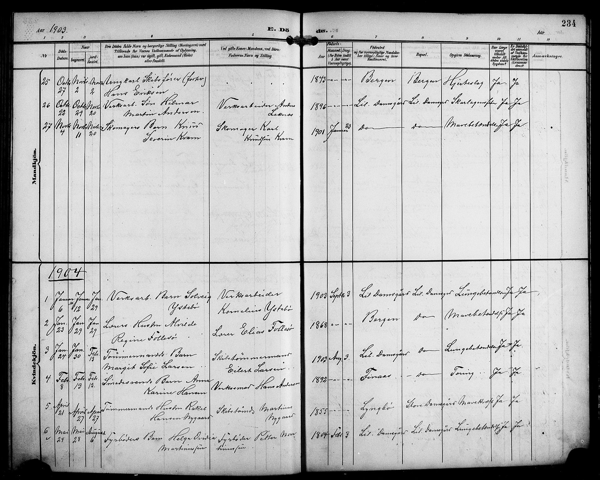 Laksevåg Sokneprestembete, SAB/A-76501/H/Ha/Hab/Haba/L0004: Parish register (copy) no. A 4, 1899-1909, p. 234
