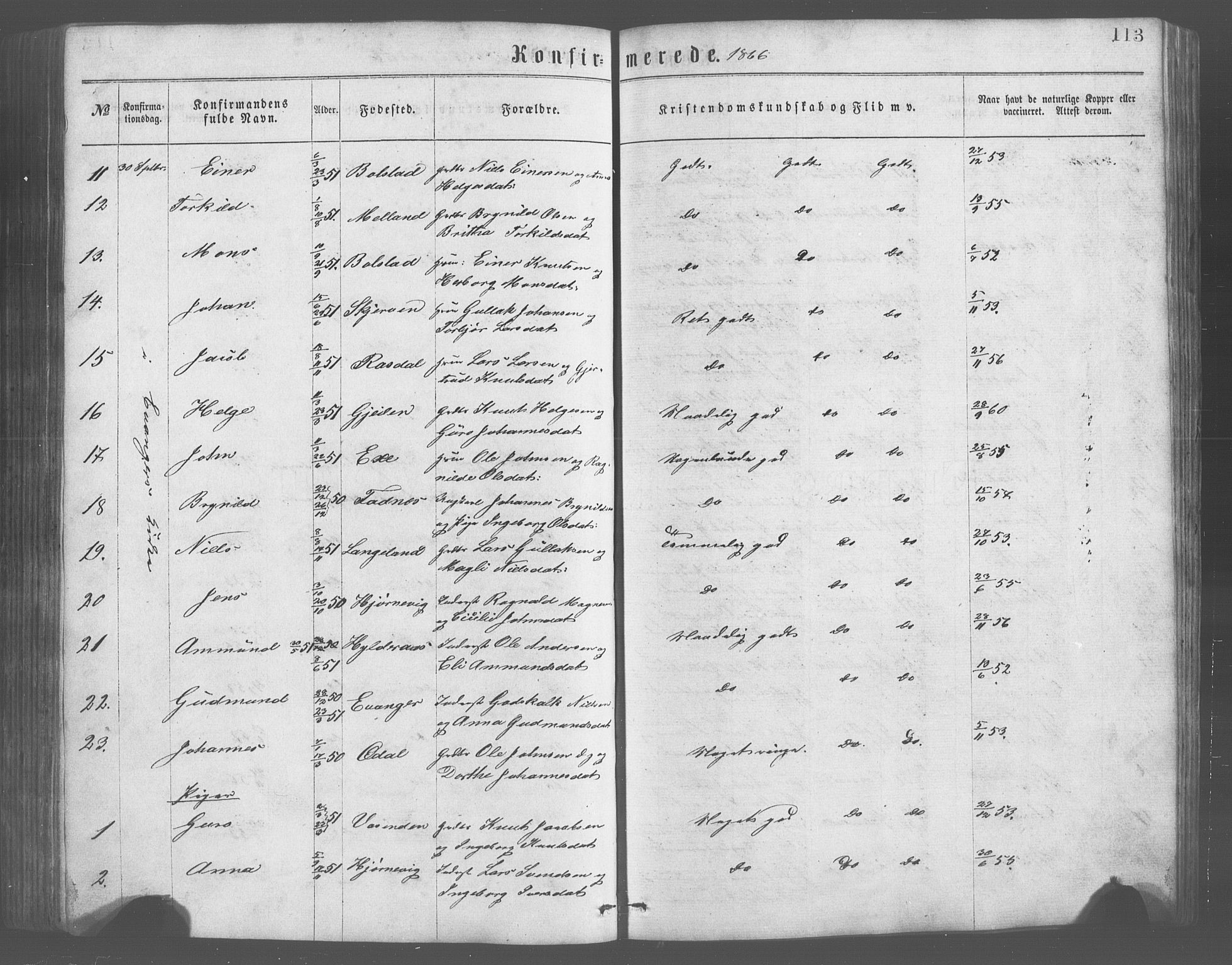 Evanger sokneprestembete, SAB/A-99924: Parish register (copy) no. A 2, 1863-1879, p. 113