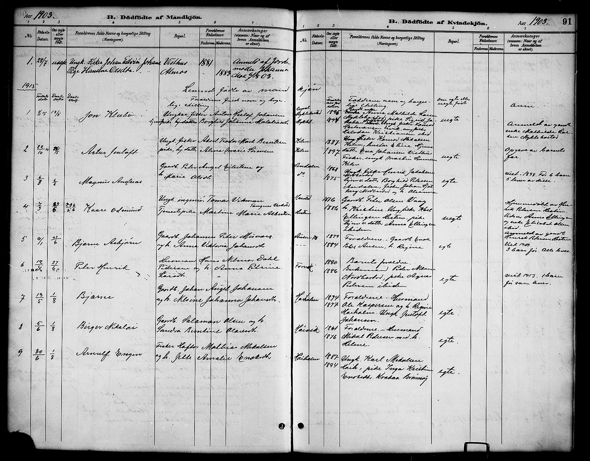 Ministerialprotokoller, klokkerbøker og fødselsregistre - Nordland, SAT/A-1459/819/L0277: Parish register (copy) no. 819C03, 1888-1917, p. 91