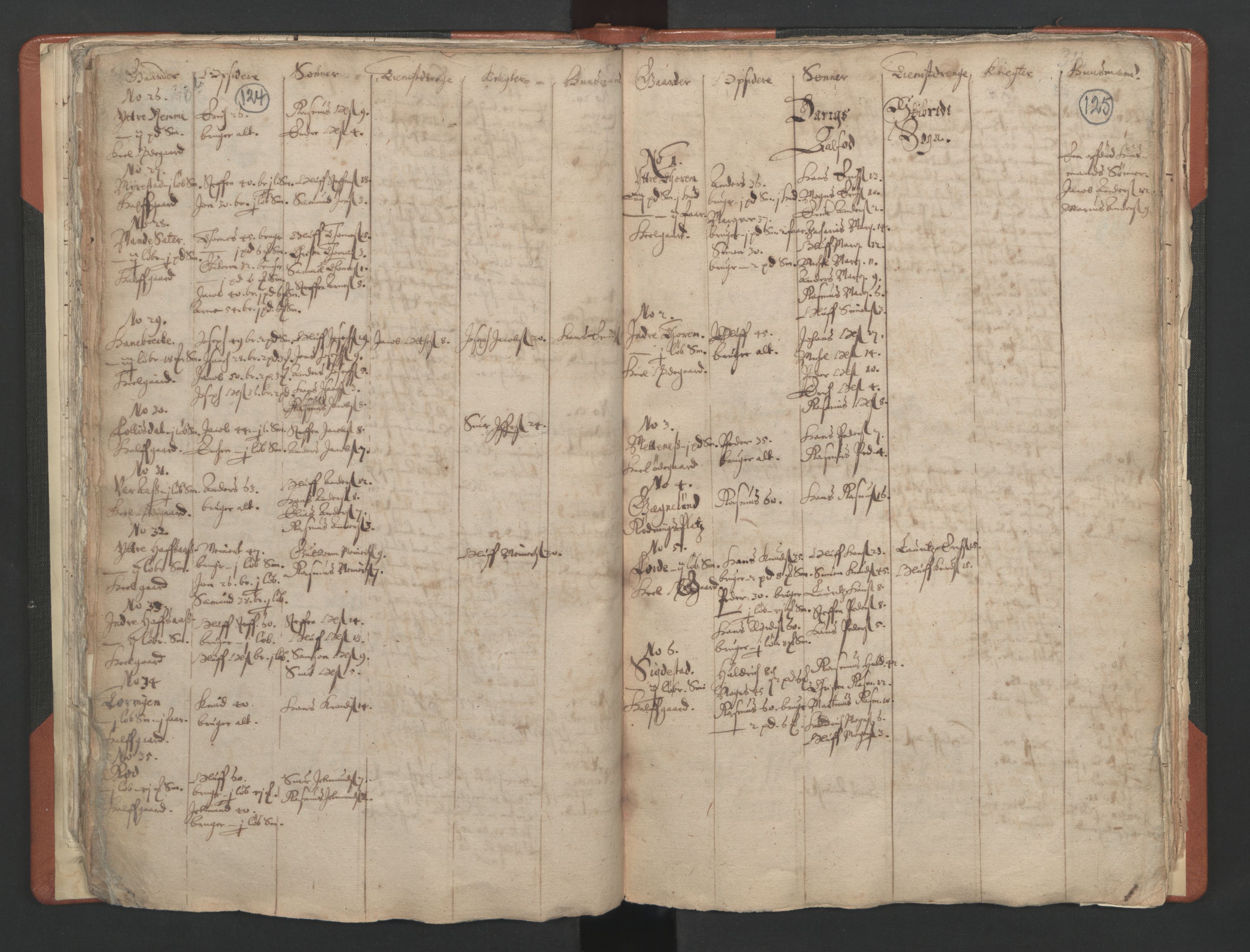 RA, Vicar's Census 1664-1666, no. 25: Nordfjord deanery, 1664-1666, p. 124-125