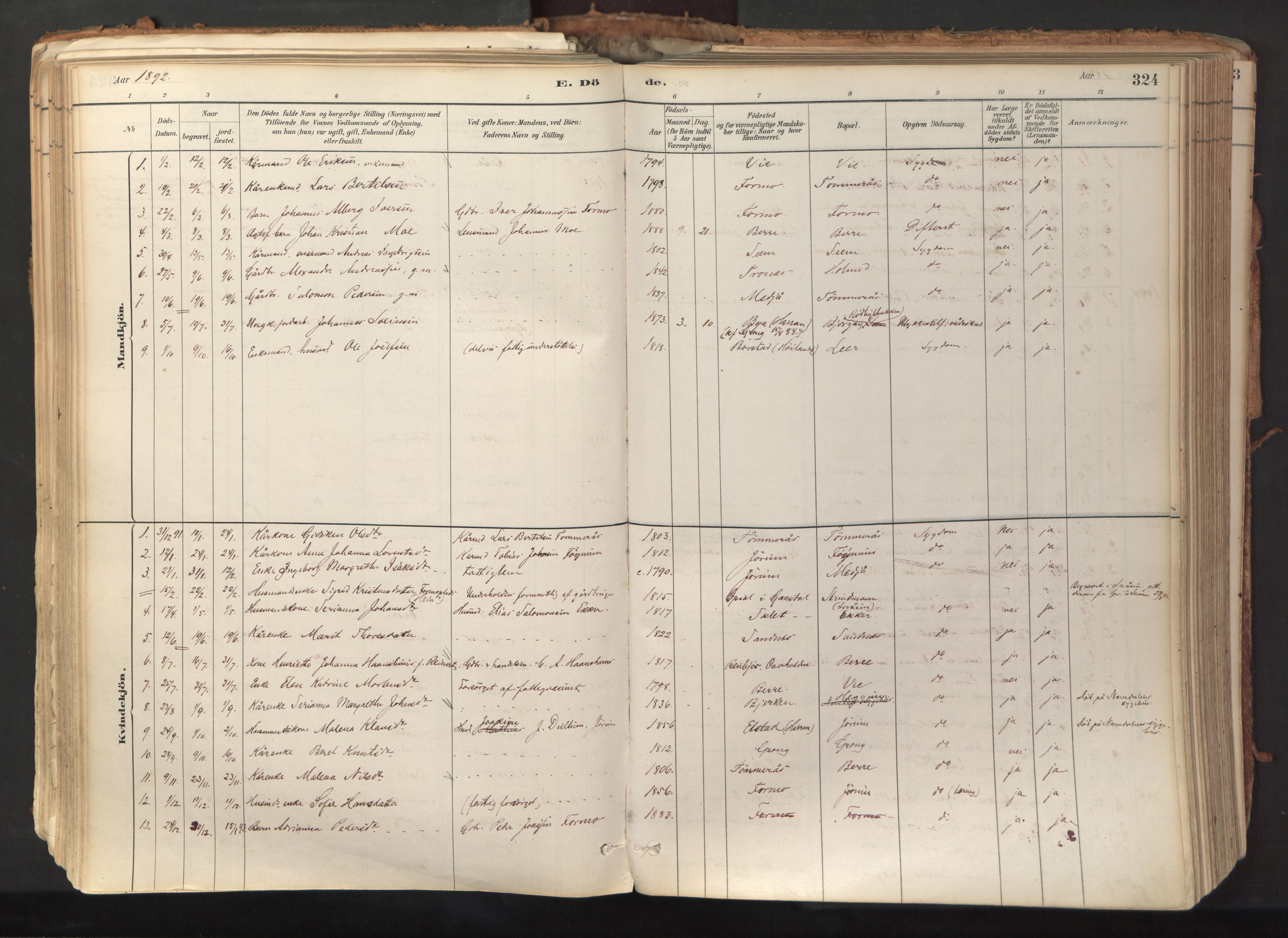 Ministerialprotokoller, klokkerbøker og fødselsregistre - Nord-Trøndelag, SAT/A-1458/758/L0519: Parish register (official) no. 758A04, 1880-1926, p. 324