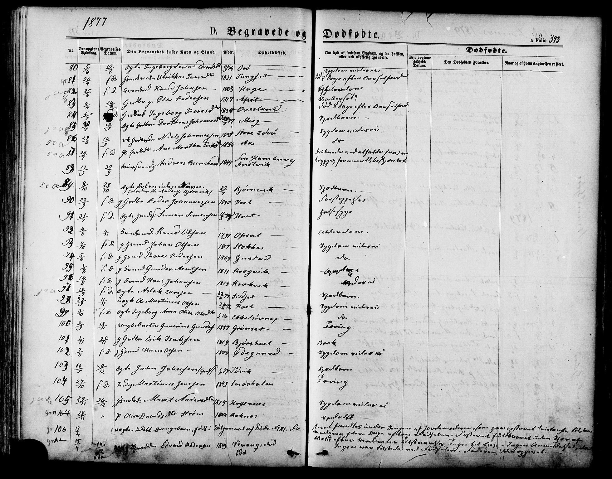 Ministerialprotokoller, klokkerbøker og fødselsregistre - Møre og Romsdal, SAT/A-1454/568/L0805: Parish register (official) no. 568A12 /1, 1869-1884, p. 393