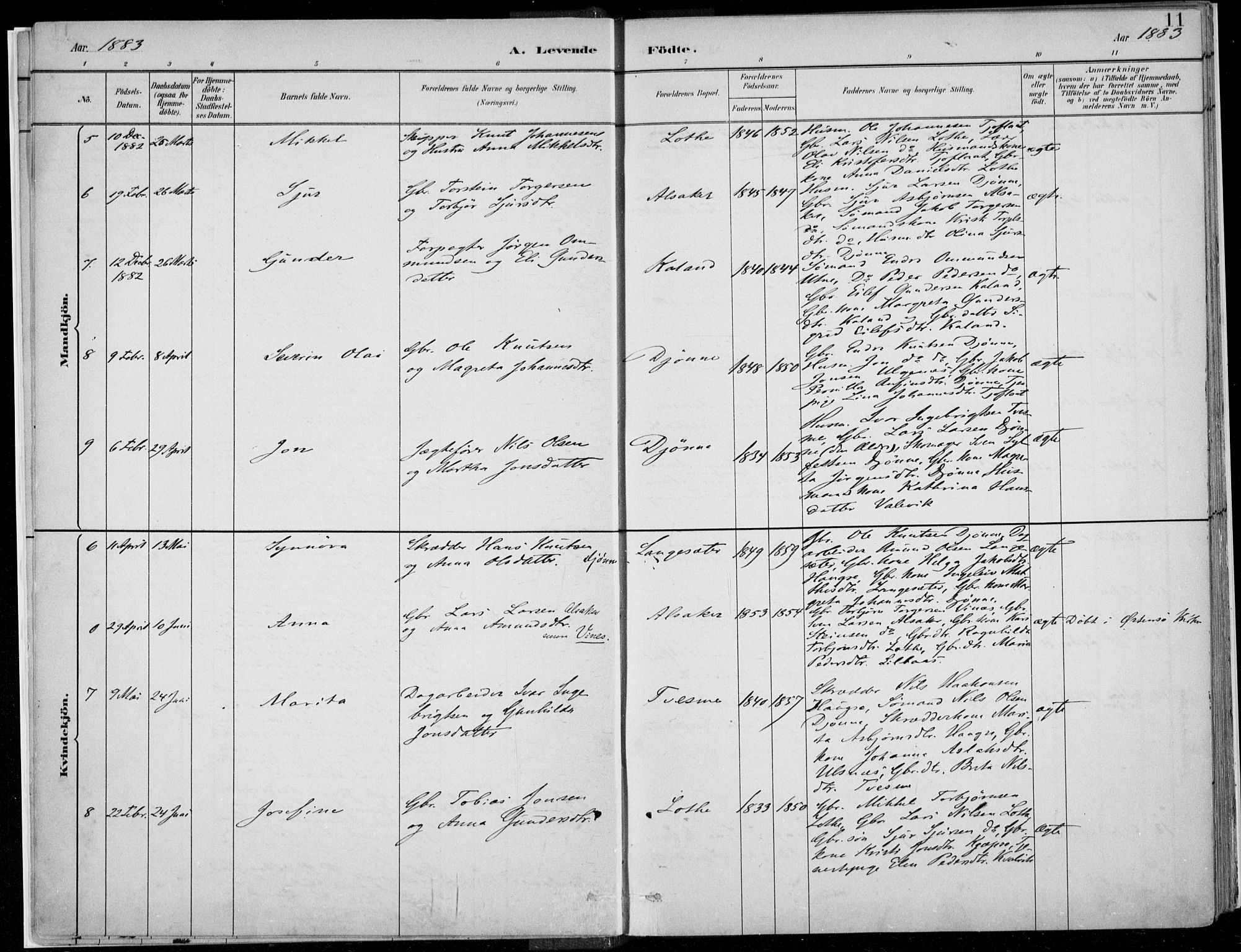 Ullensvang sokneprestembete, AV/SAB-A-78701/H/Haa: Parish register (official) no. E  1, 1882-1921, p. 11