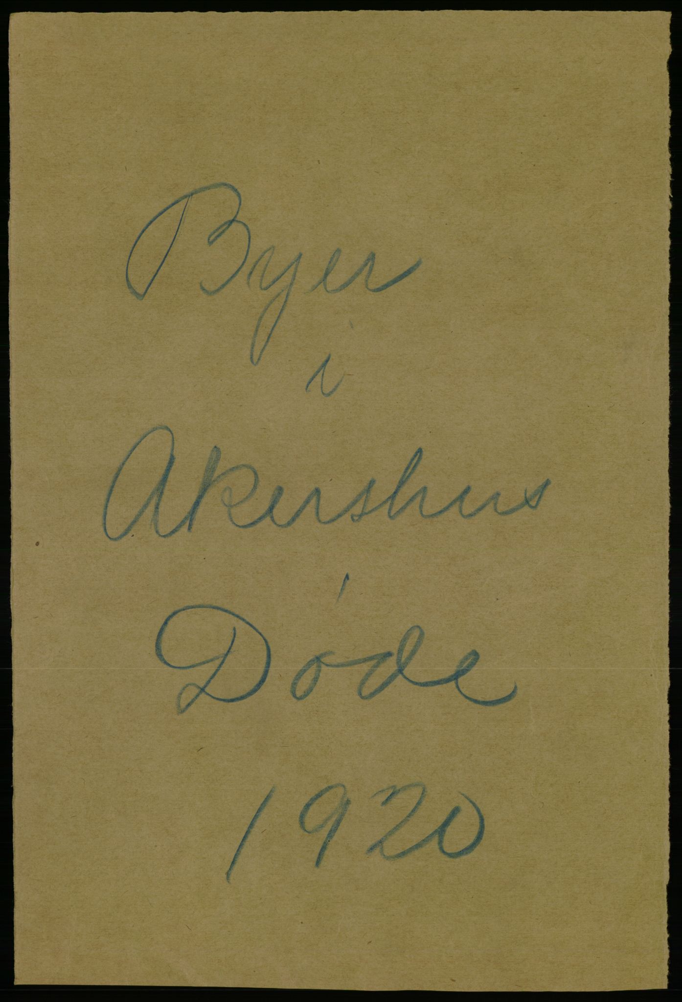 Statistisk sentralbyrå, Sosiodemografiske emner, Befolkning, RA/S-2228/D/Df/Dfb/Dfbj/L0007: Akershus fylke: Døde. Bygder og byer., 1920, p. 481