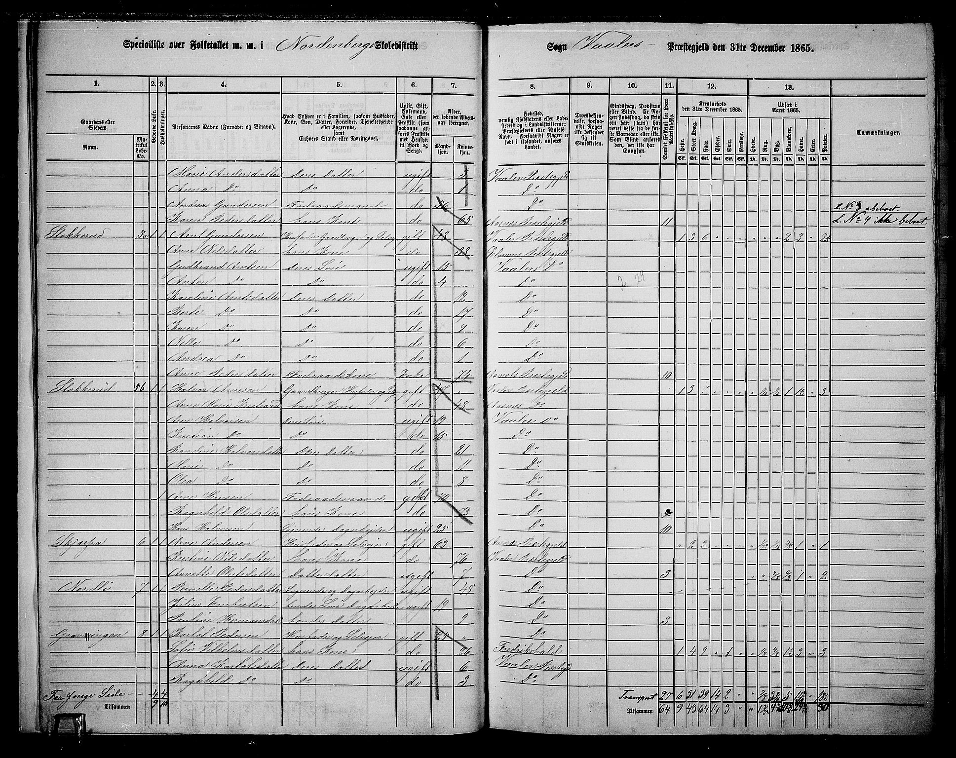 RA, 1865 census for Våler, 1865, p. 13