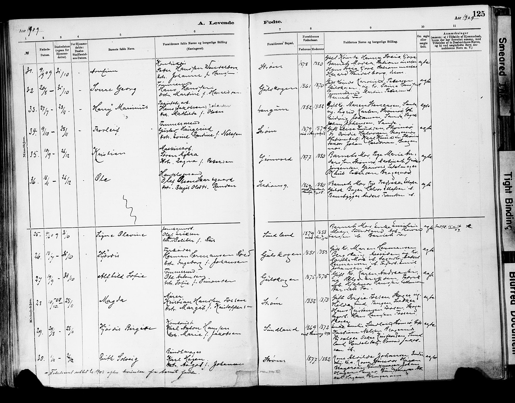 Strømsgodset kirkebøker, AV/SAKO-A-324/F/Fa/L0001: Parish register (official) no. 1, 1885-1909, p. 125