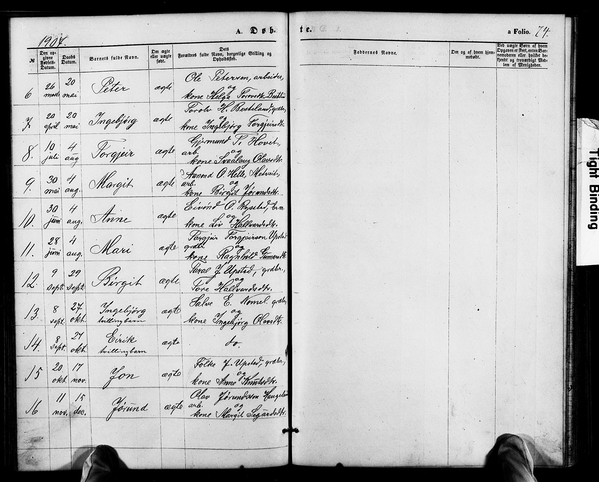 Valle sokneprestkontor, AV/SAK-1111-0044/F/Fb/Fbb/L0002: Parish register (copy) no. B 2, 1875-1921, p. 74