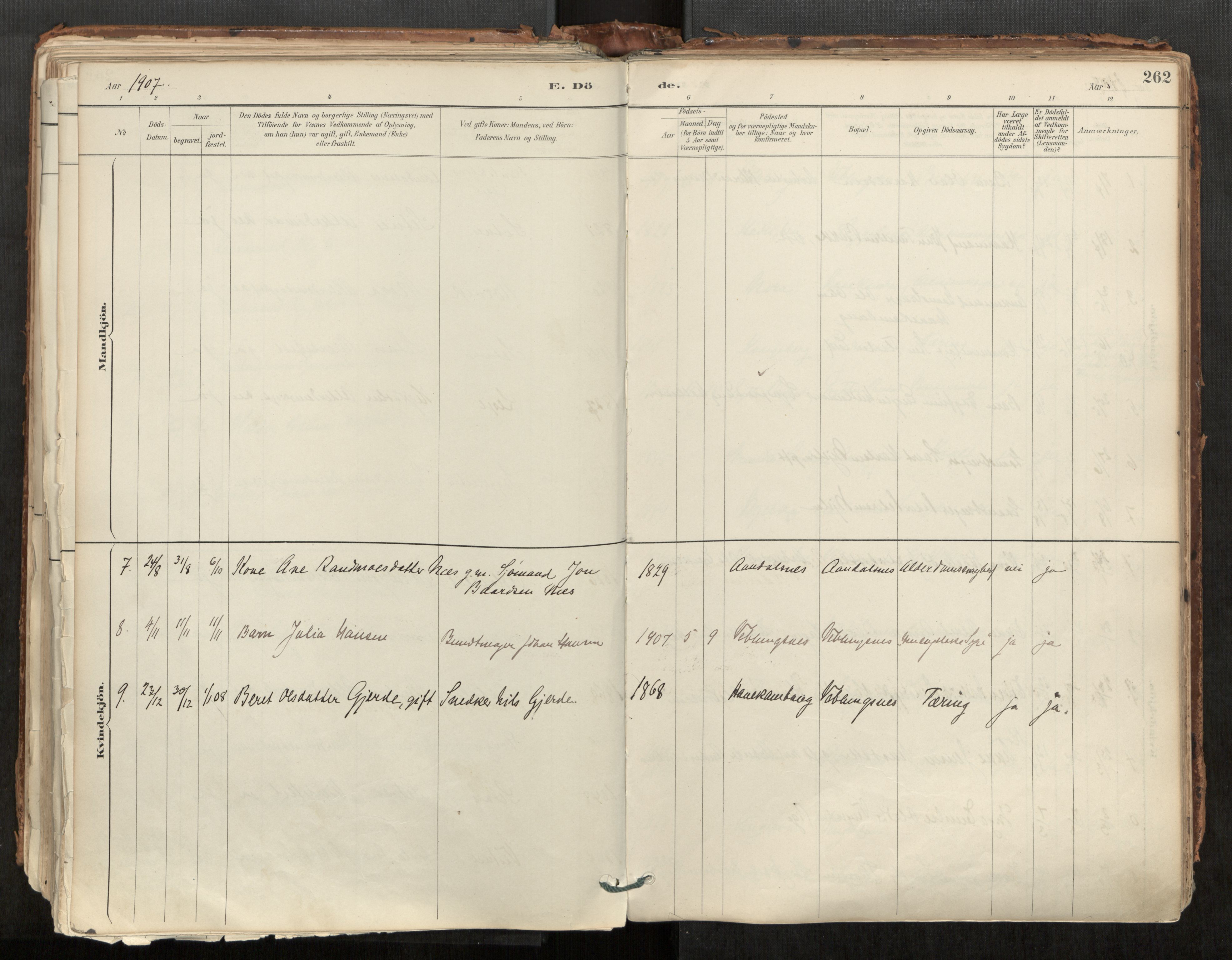 Ministerialprotokoller, klokkerbøker og fødselsregistre - Møre og Romsdal, SAT/A-1454/544/L0585: Parish register (official) no. 544A06, 1887-1924, p. 262