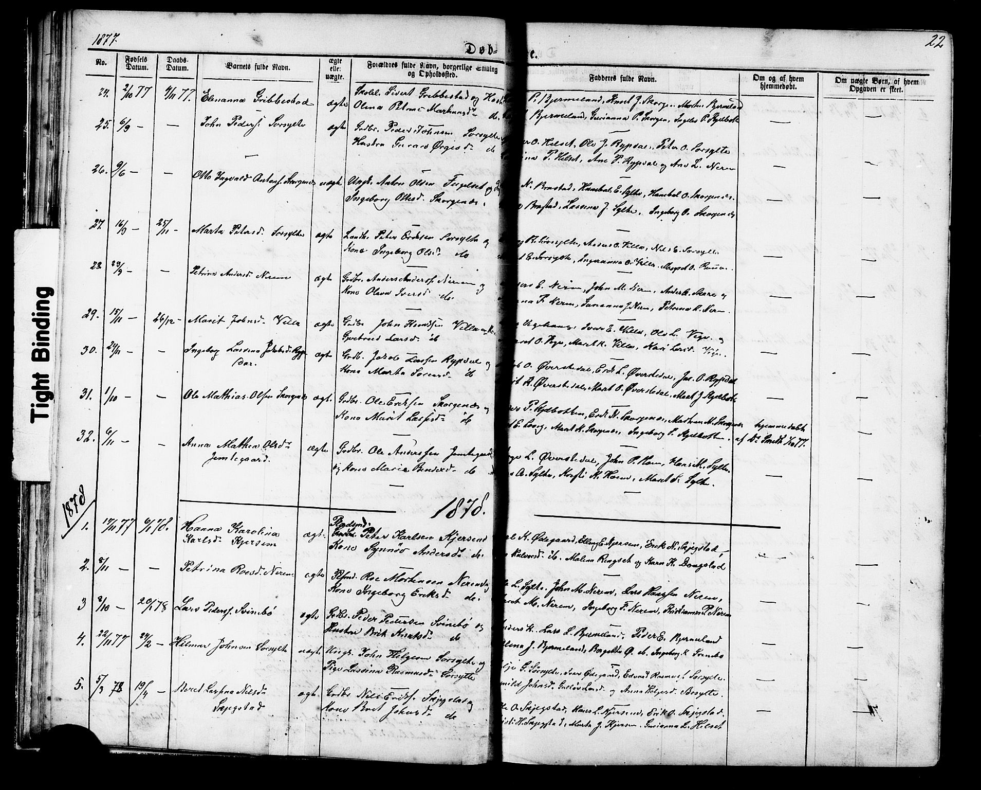 Ministerialprotokoller, klokkerbøker og fødselsregistre - Møre og Romsdal, SAT/A-1454/541/L0547: Parish register (copy) no. 541C02, 1867-1921, p. 22