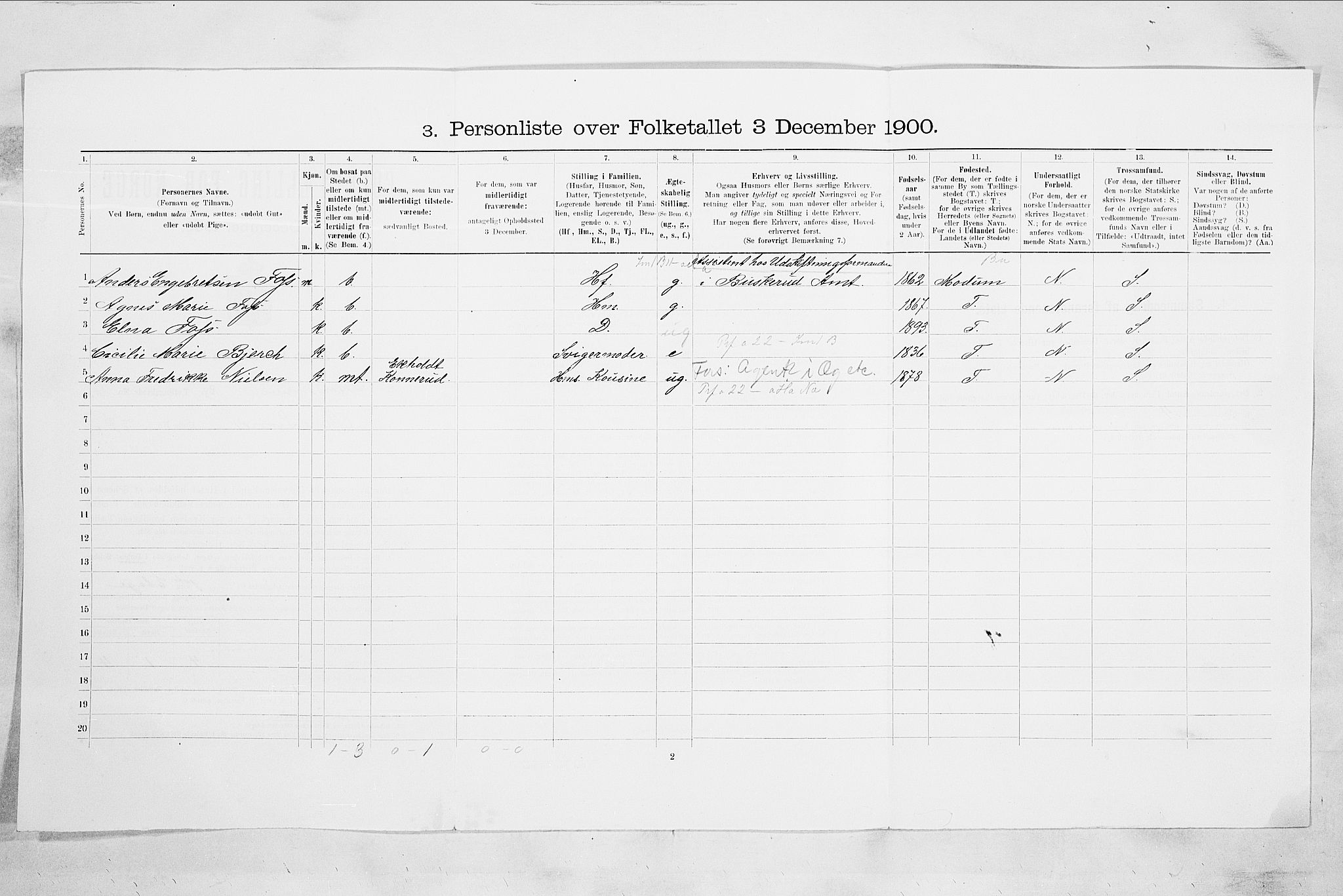 RA, 1900 census for Drammen, 1900, p. 1219