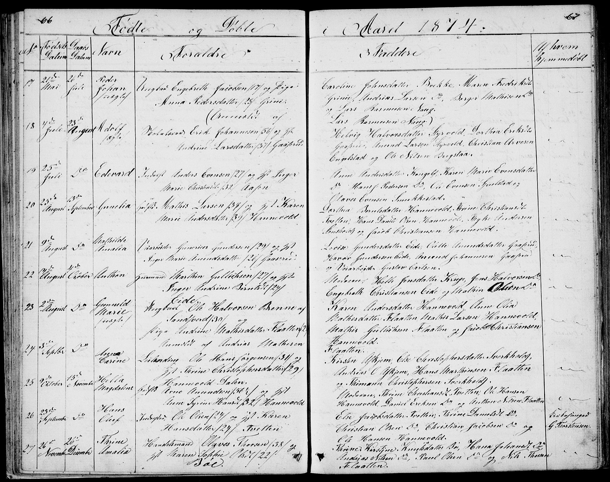 Lardal kirkebøker, SAKO/A-350/G/Gc/L0001: Parish register (copy) no. III 1, 1859-1893, p. 66-67