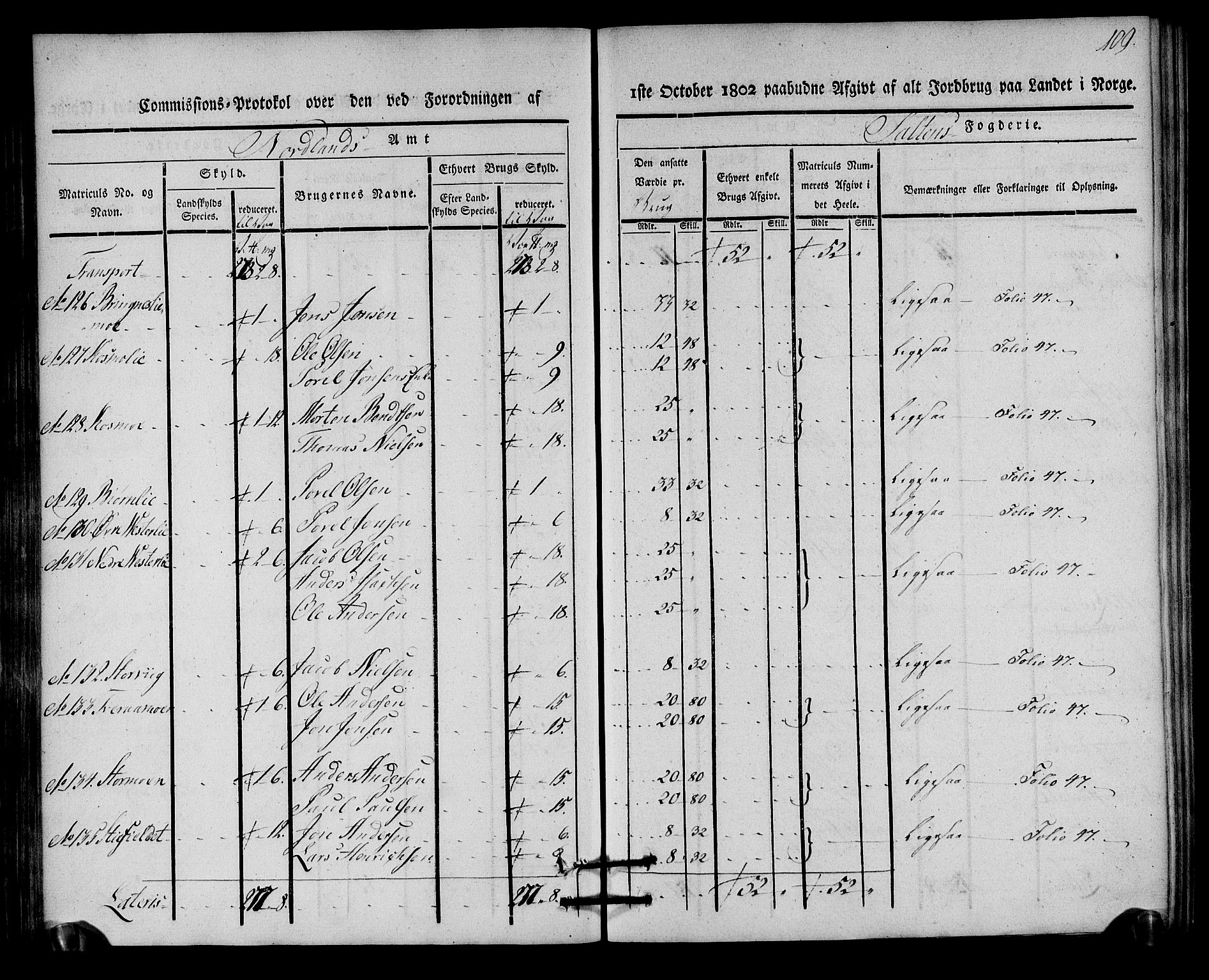 Rentekammeret inntil 1814, Realistisk ordnet avdeling, AV/RA-EA-4070/N/Ne/Nea/L0160: Salten fogderi. Kommisjonsprotokoll, 1803, p. 108