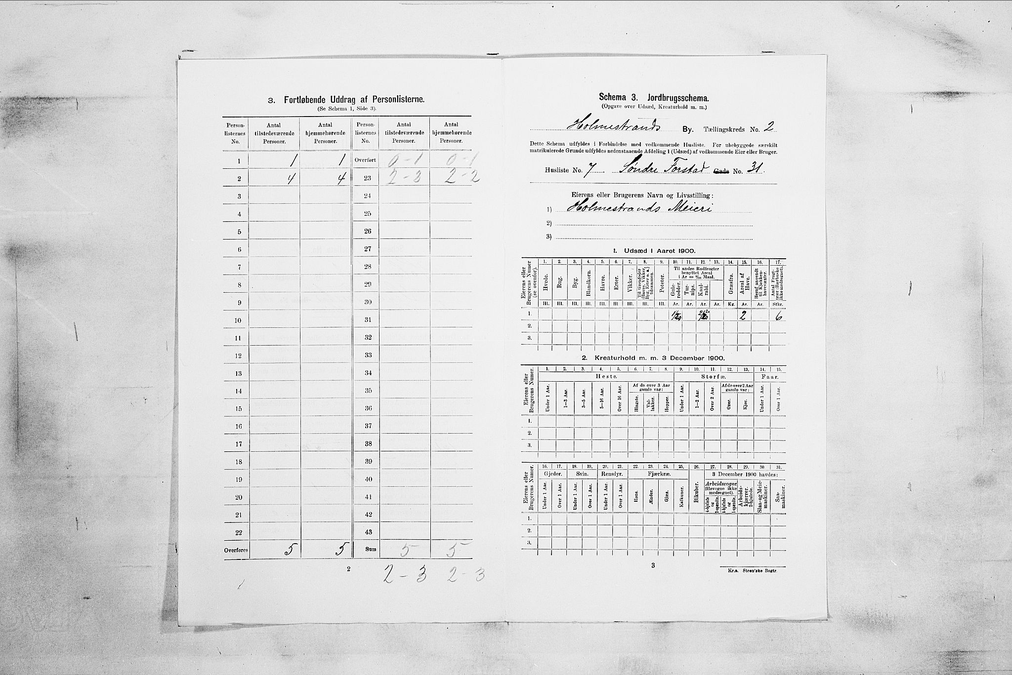 RA, 1900 census for Holmestrand, 1900, p. 514