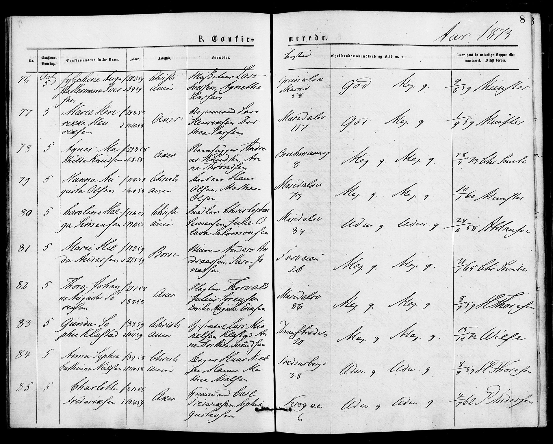 Gamle Aker prestekontor Kirkebøker, AV/SAO-A-10617a/F/L0005: Parish register (official) no. 5, 1873-1881, p. 8