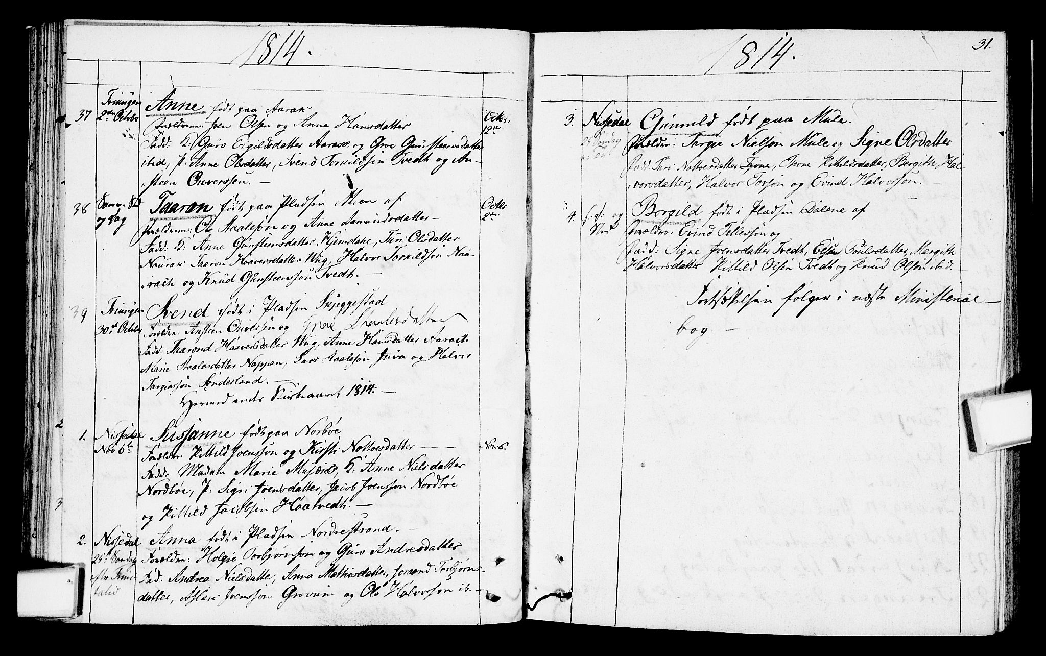 Nissedal kirkebøker, SAKO/A-288/F/Fa/L0001: Parish register (official) no. I 1, 1811-1814, p. 31