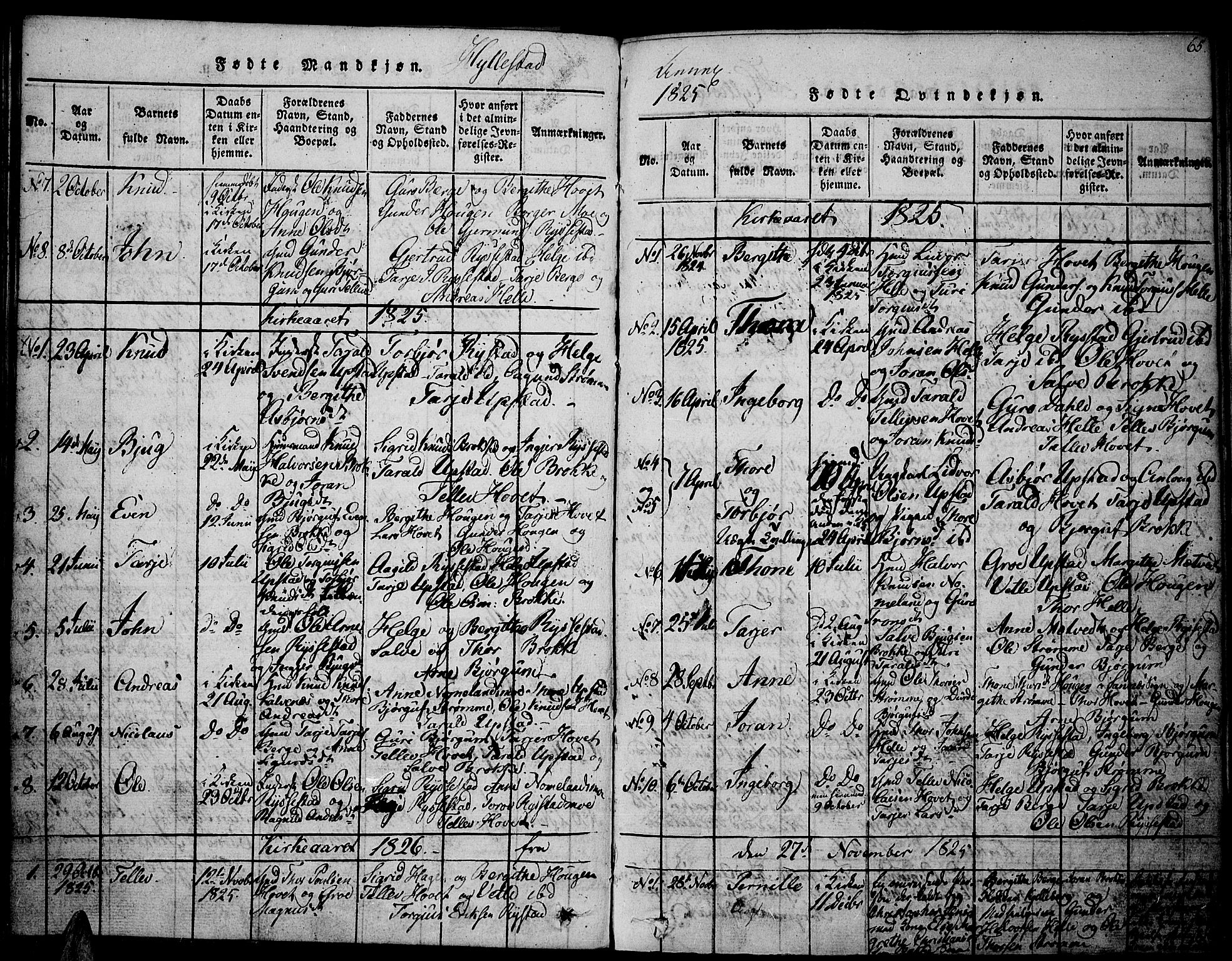 Valle sokneprestkontor, SAK/1111-0044/F/Fa/Fac/L0005: Parish register (official) no. A 5 /2, 1817-1831, p. 65