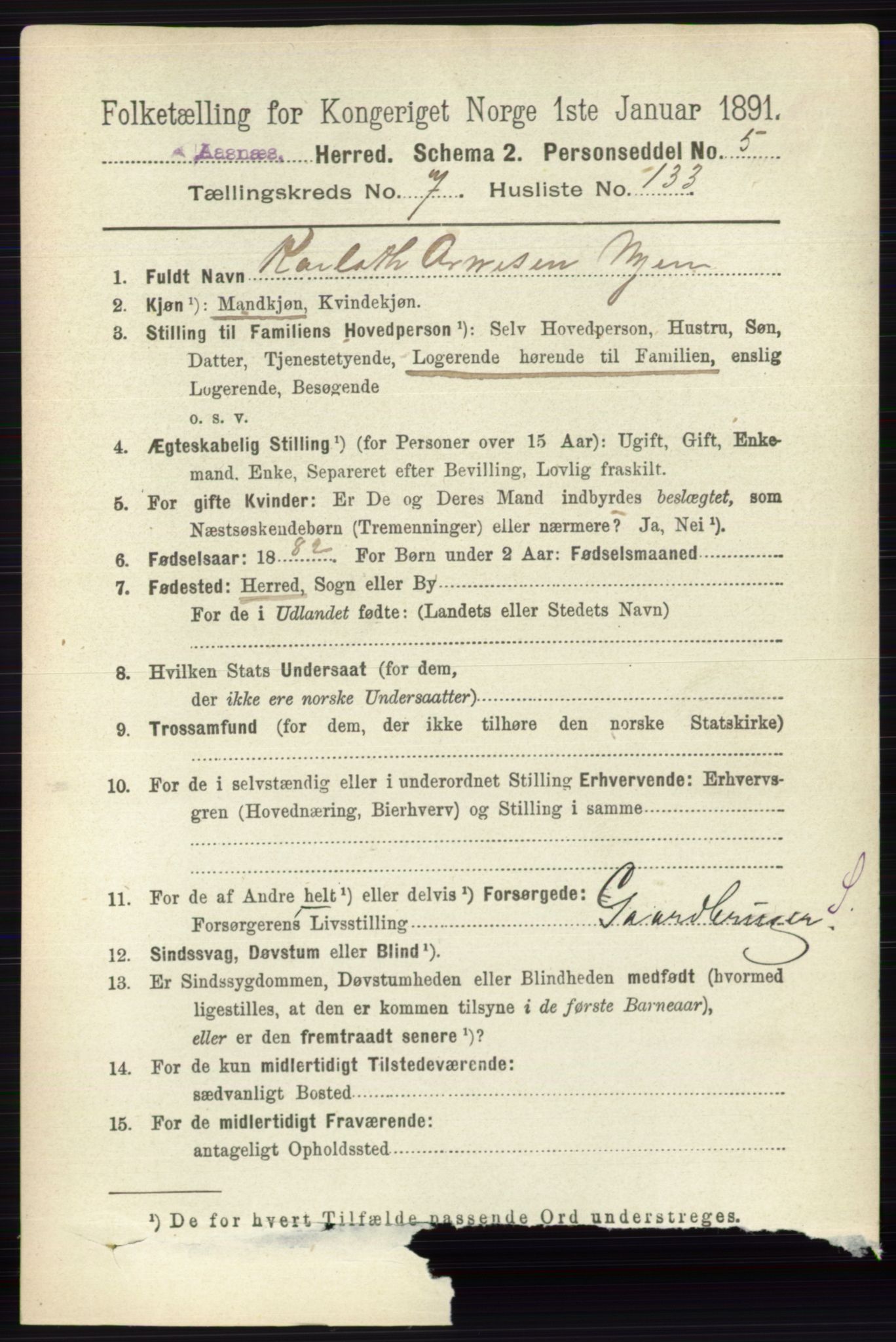 RA, 1891 census for 0425 Åsnes, 1891, p. 4115