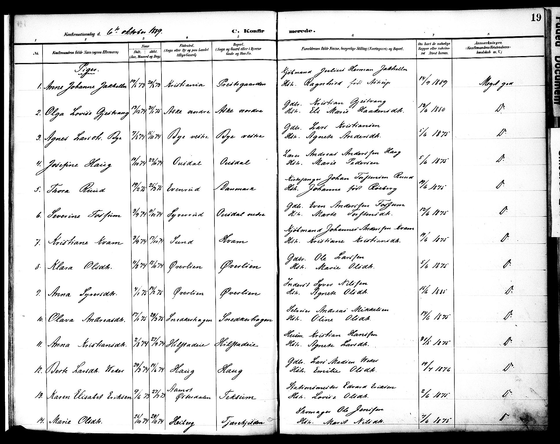 Nes prestekontor, Hedmark, SAH/PREST-020/K/Ka/L0010: Parish register (official) no. 10, 1887-1905, p. 19