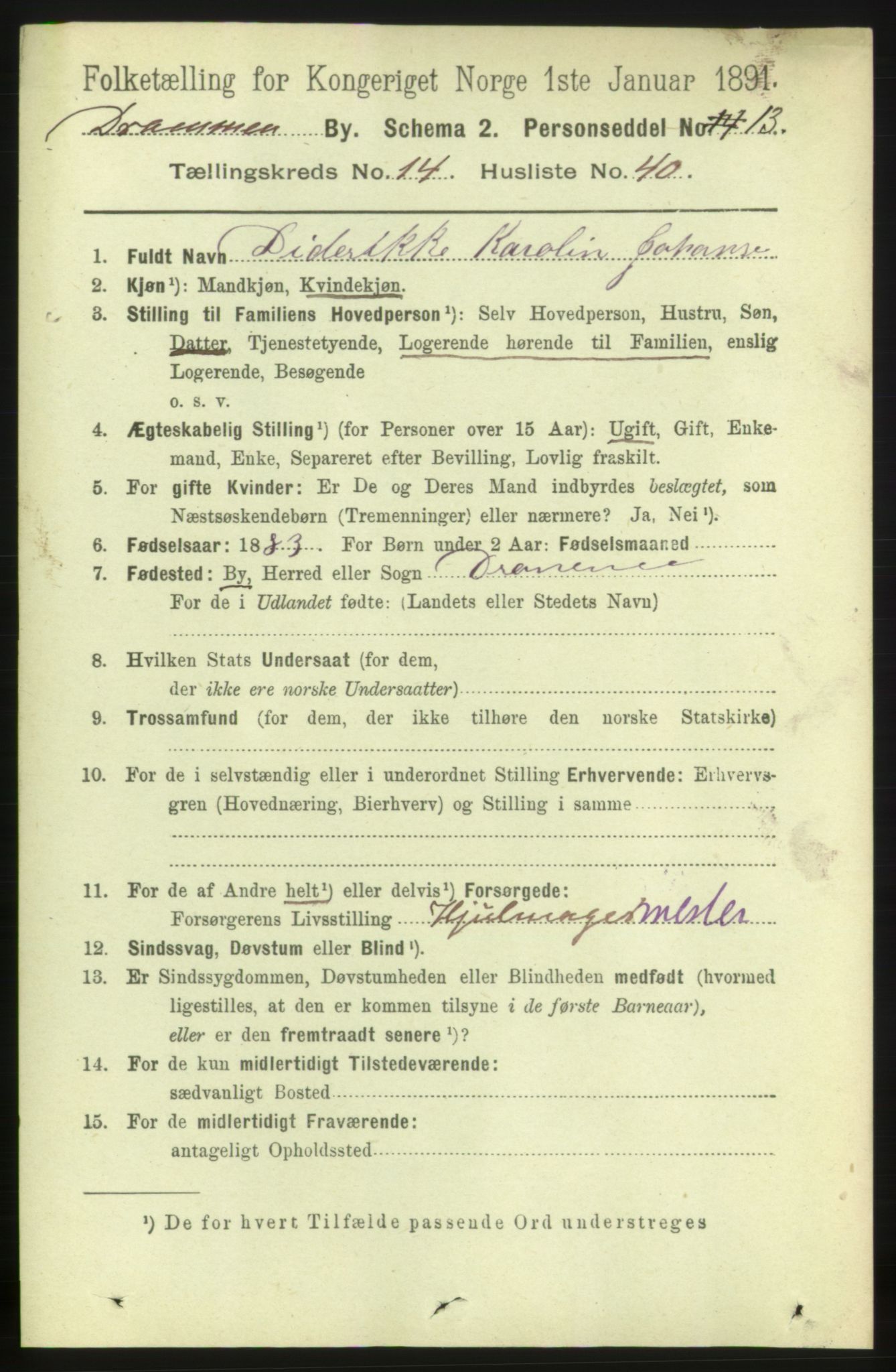 RA, 1891 census for 0602 Drammen, 1891, p. 10496