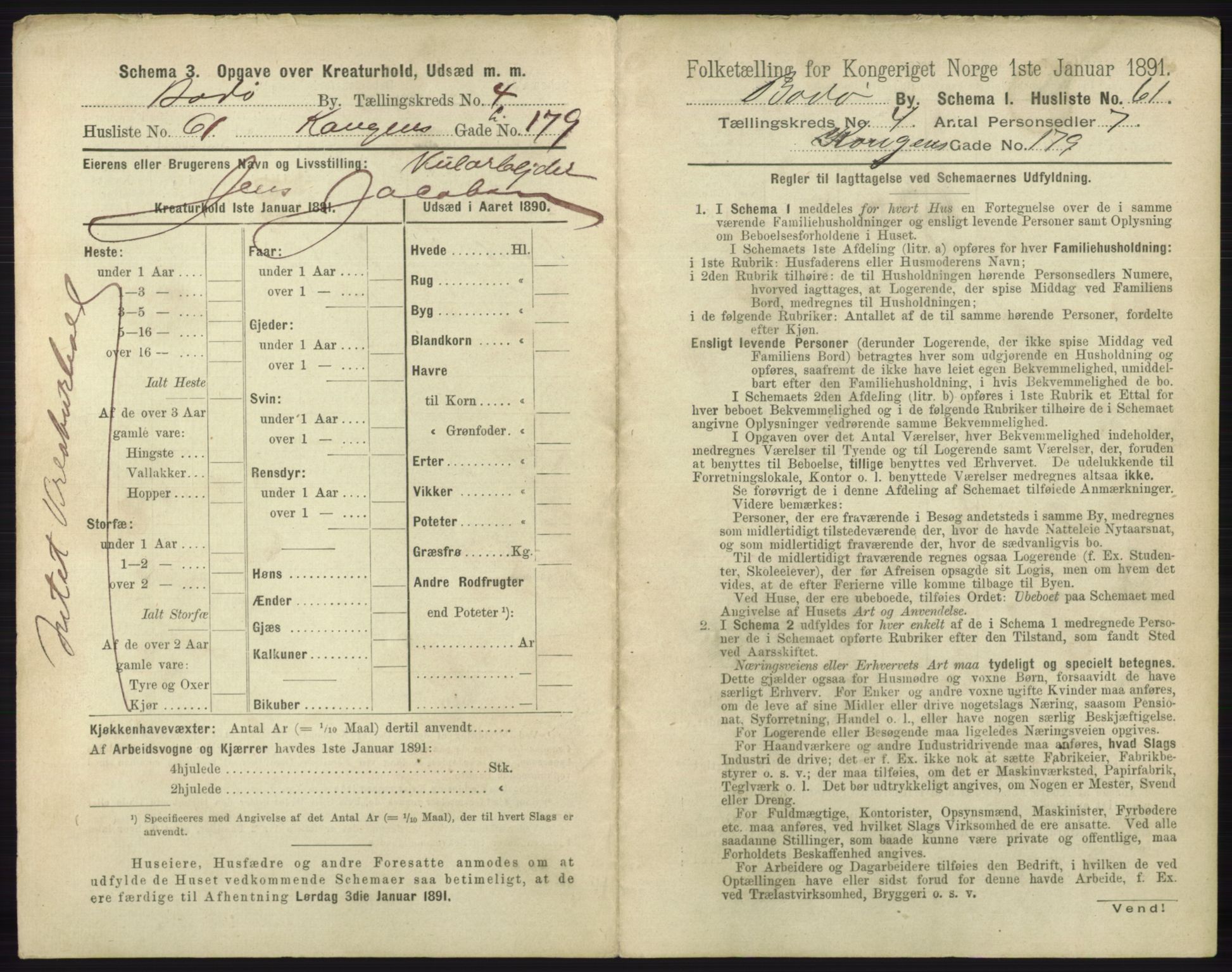 RA, 1891 census for 1804 Bodø, 1891, p. 3009