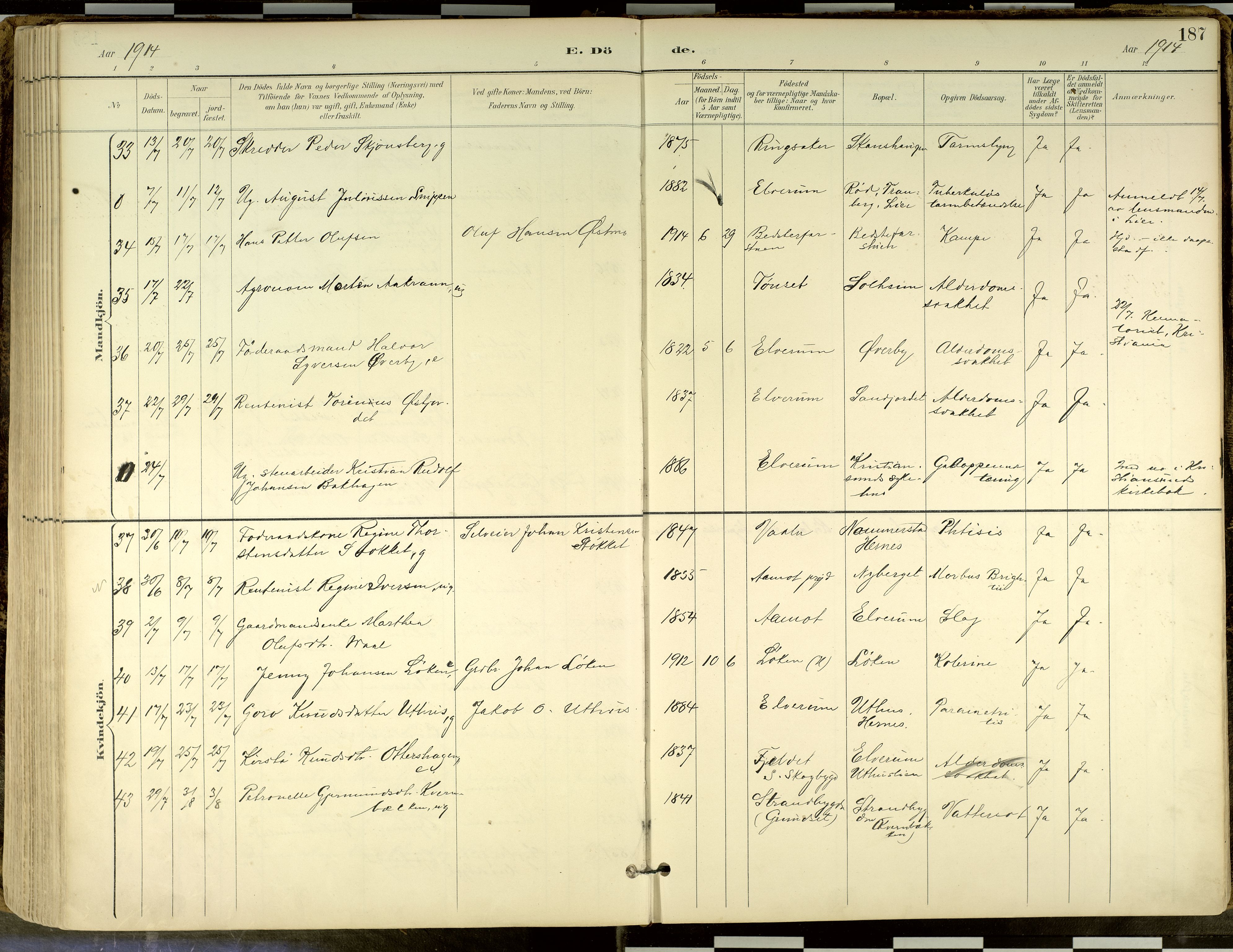 Elverum prestekontor, AV/SAH-PREST-044/H/Ha/Haa/L0018: Parish register (official) no. 18, 1894-1914, p. 187