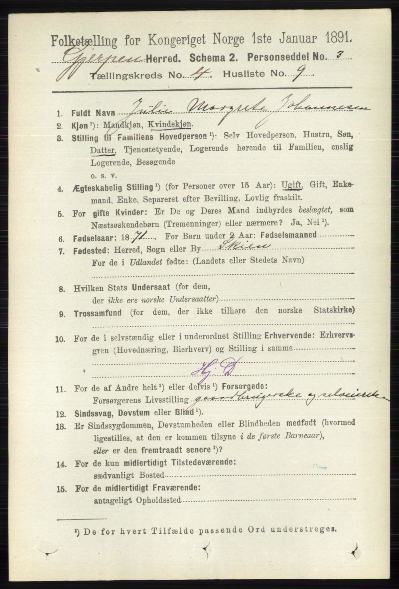 RA, 1891 census for 0812 Gjerpen, 1891, p. 1991