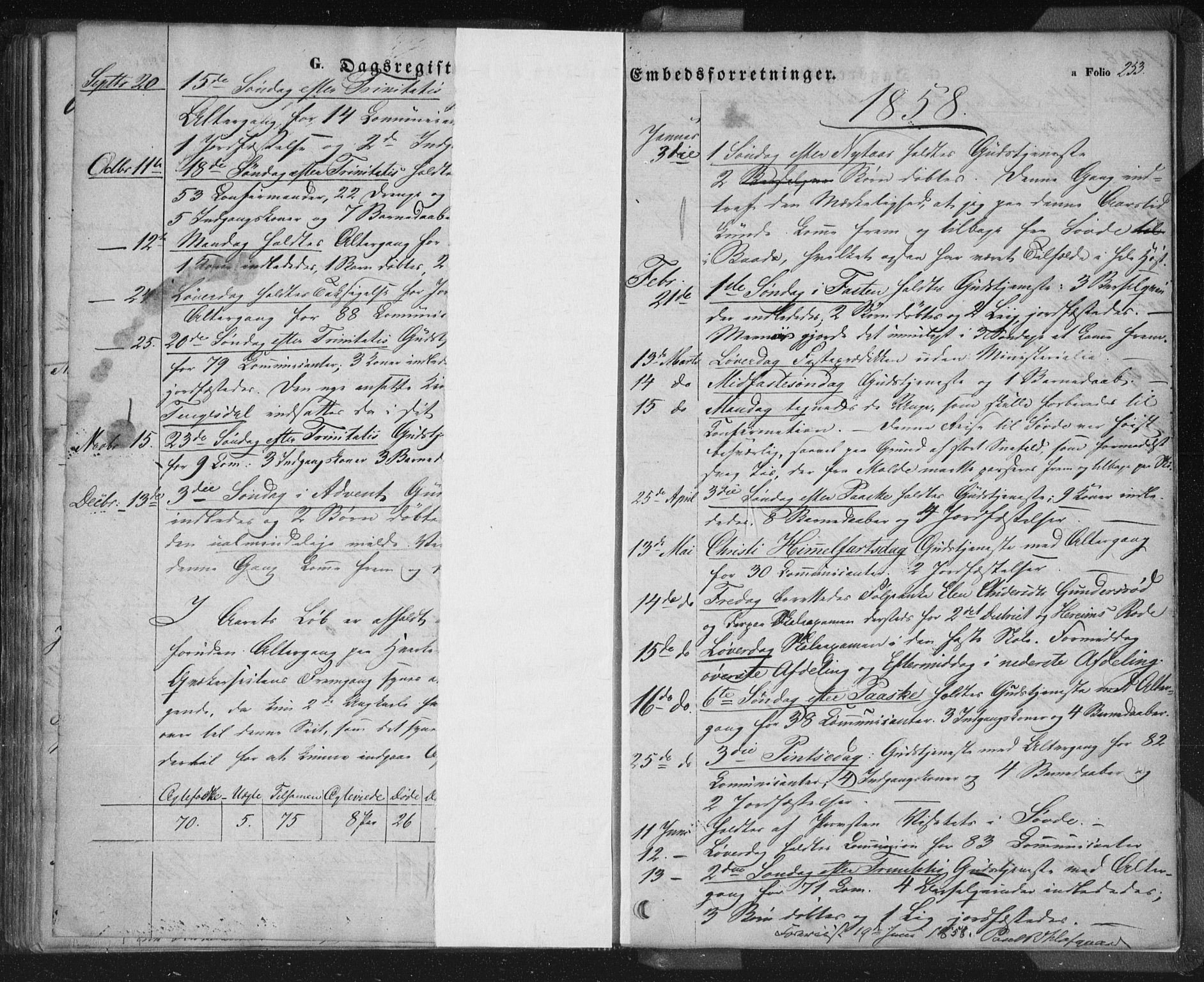 Sand sokneprestkontor, AV/SAST-A-101848/01/III/L0002: Parish register (official) no. A 2, 1838-1859, p. 253