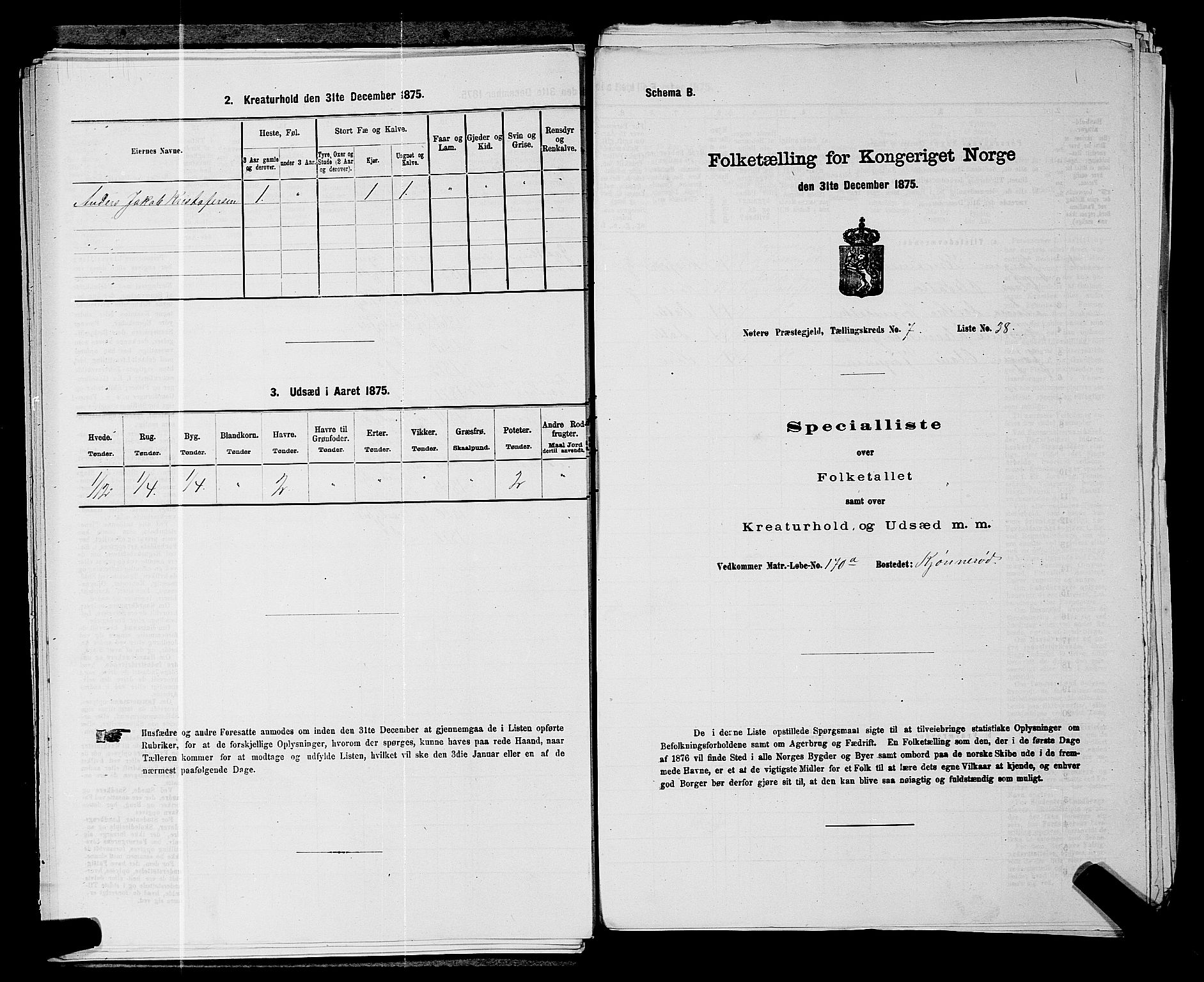 SAKO, 1875 census for 0722P Nøtterøy, 1875, p. 1410