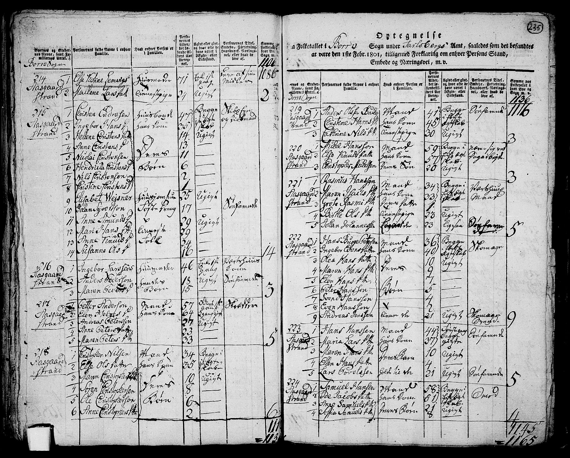 RA, 1801 census for 0717P Borre, 1801, p. 234b-235a