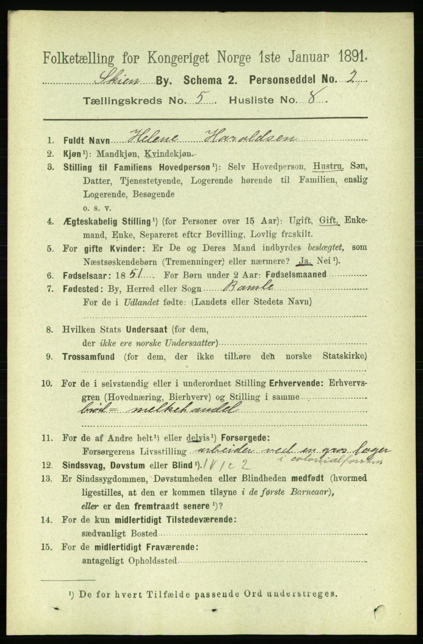 RA, 1891 census for 0806 Skien, 1891, p. 2963