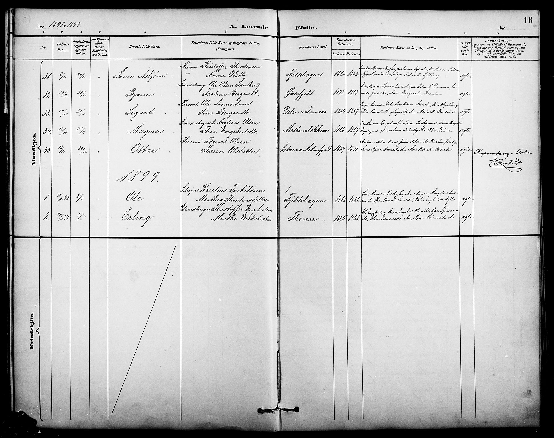 Nord-Odal prestekontor, AV/SAH-PREST-032/H/Ha/Hab/L0002: Parish register (copy) no. 2, 1895-1921, p. 16