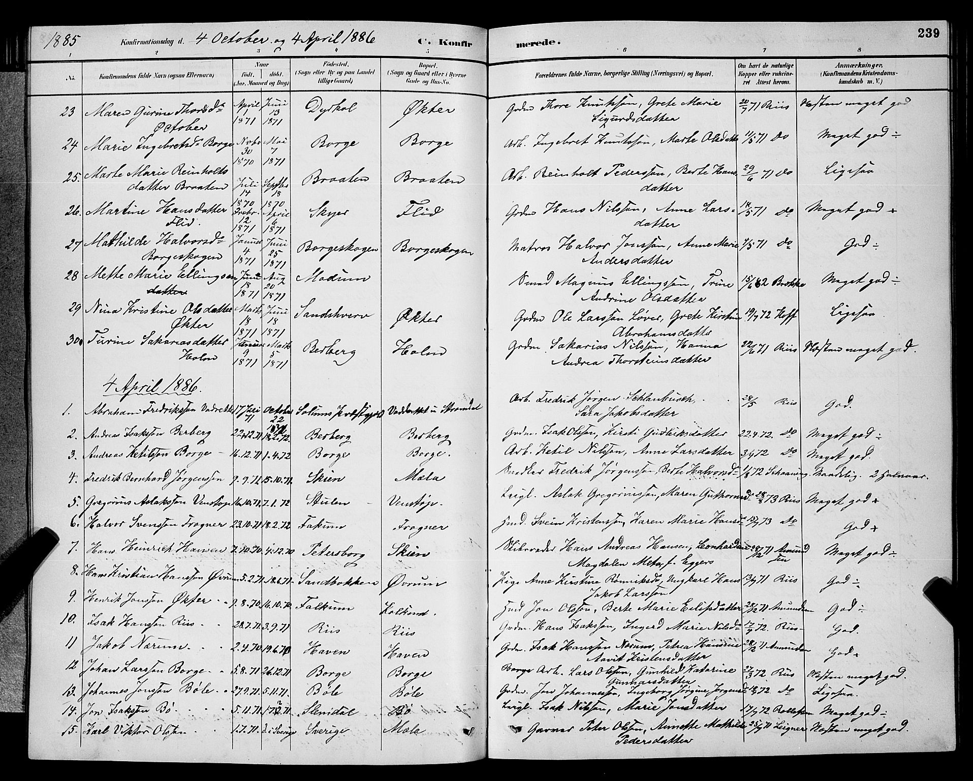 Gjerpen kirkebøker, AV/SAKO-A-265/G/Ga/L0002: Parish register (copy) no. I 2, 1883-1900, p. 239