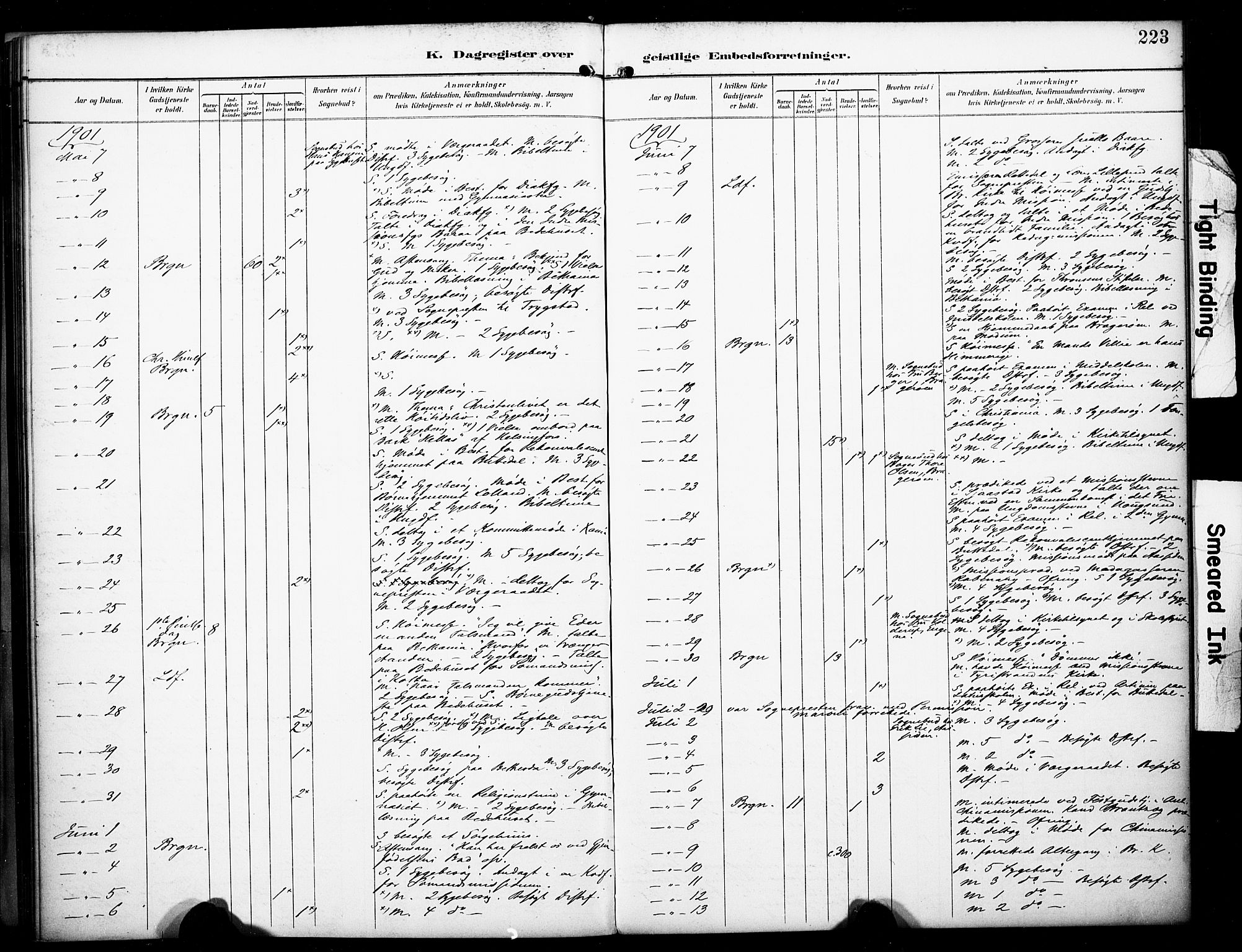 Bragernes kirkebøker, SAKO/A-6/F/Fc/L0006: Parish register (official) no. III 6, 1888-1899, p. 223