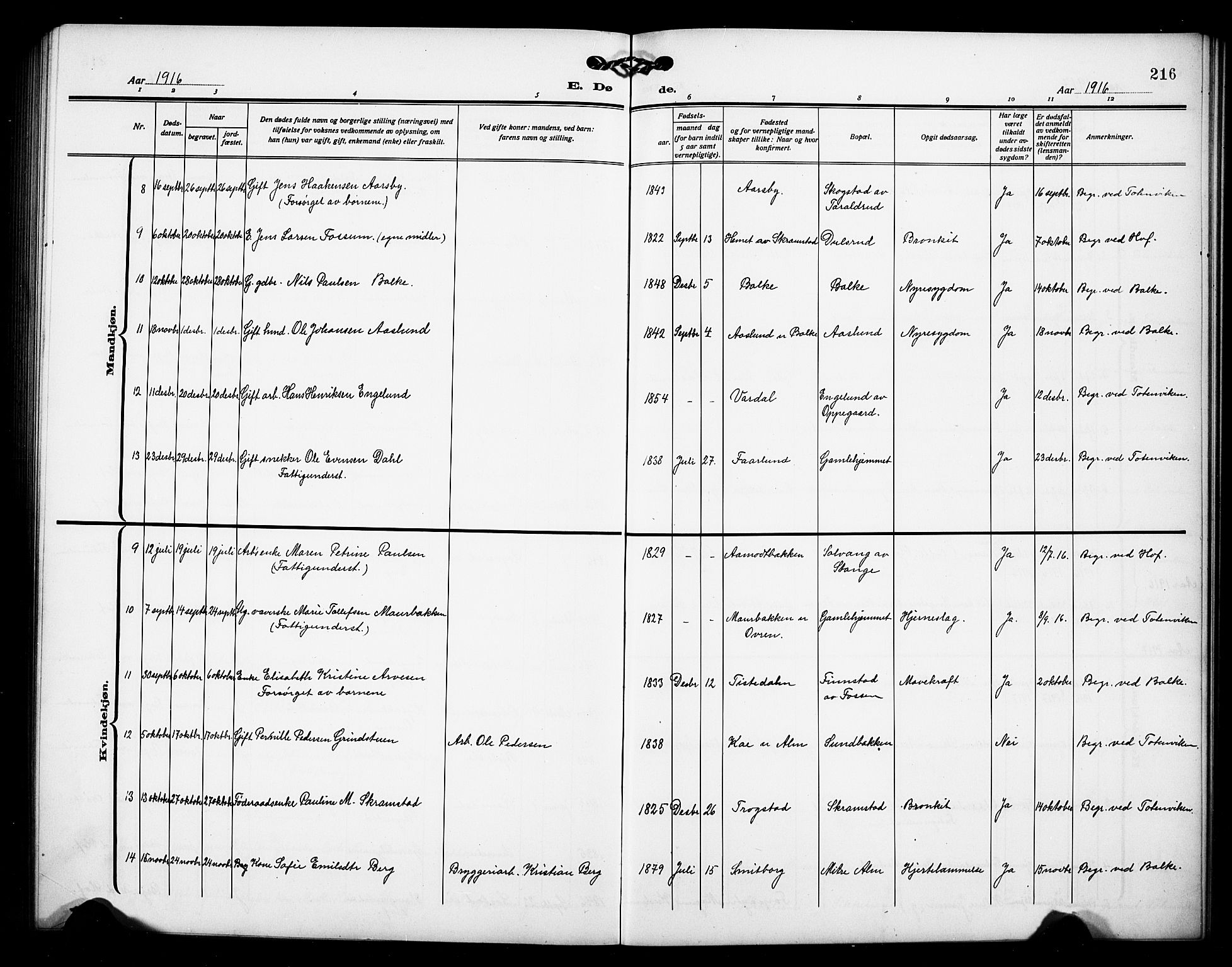 Østre Toten prestekontor, SAH/PREST-104/H/Ha/Hab/L0008: Parish register (copy) no. 8, 1913-1929, p. 216